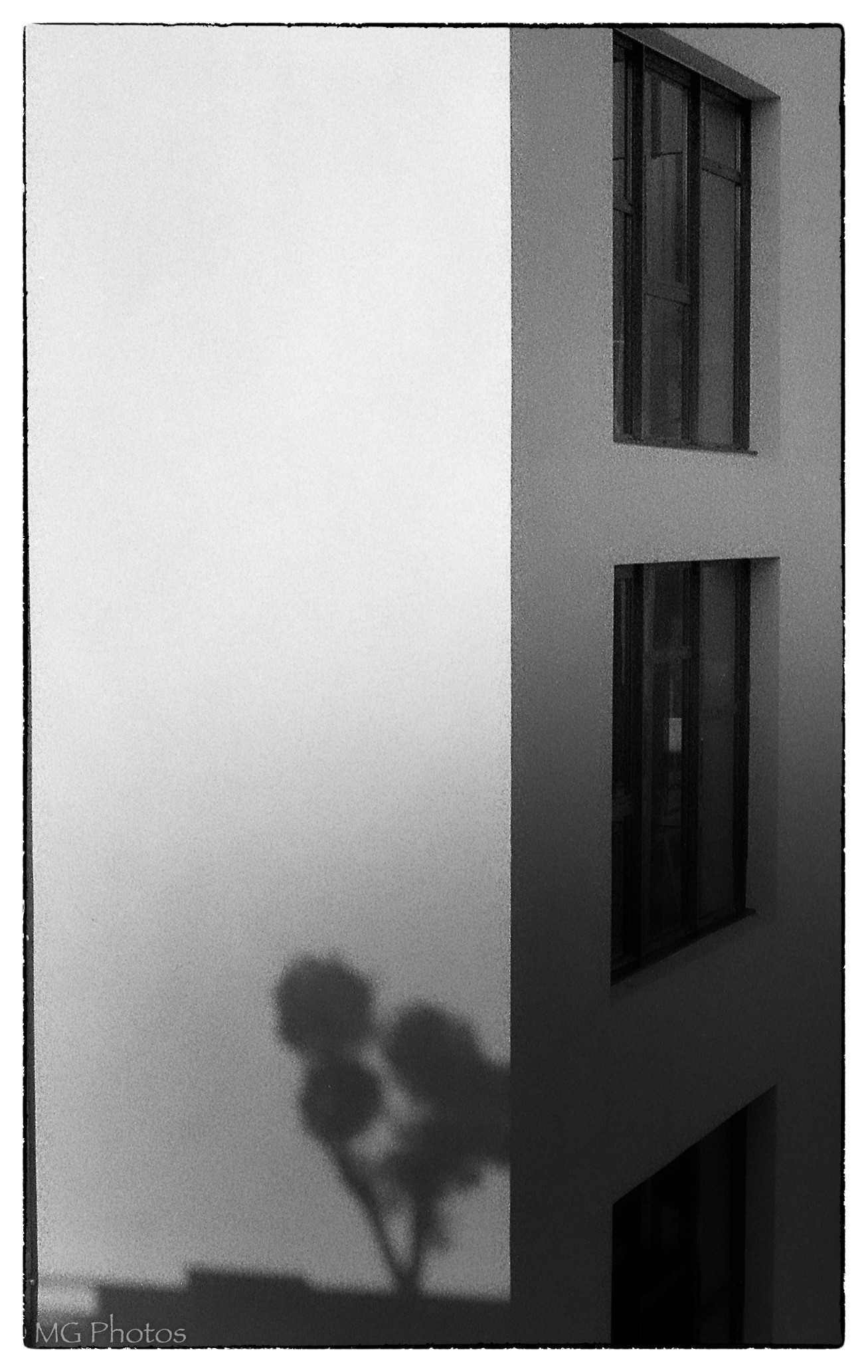 projection 2 (LEICA M3)