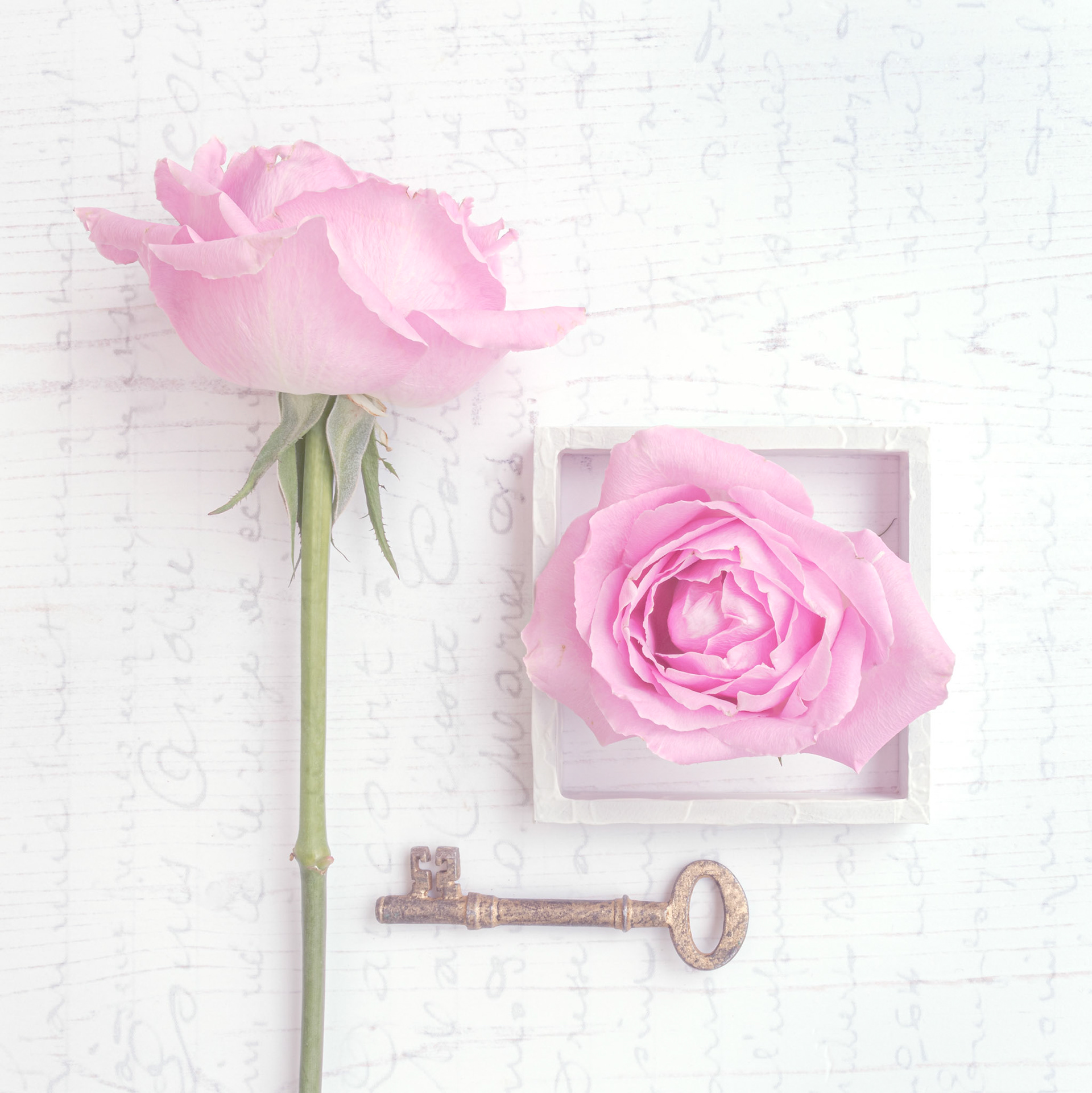 Roses and Key