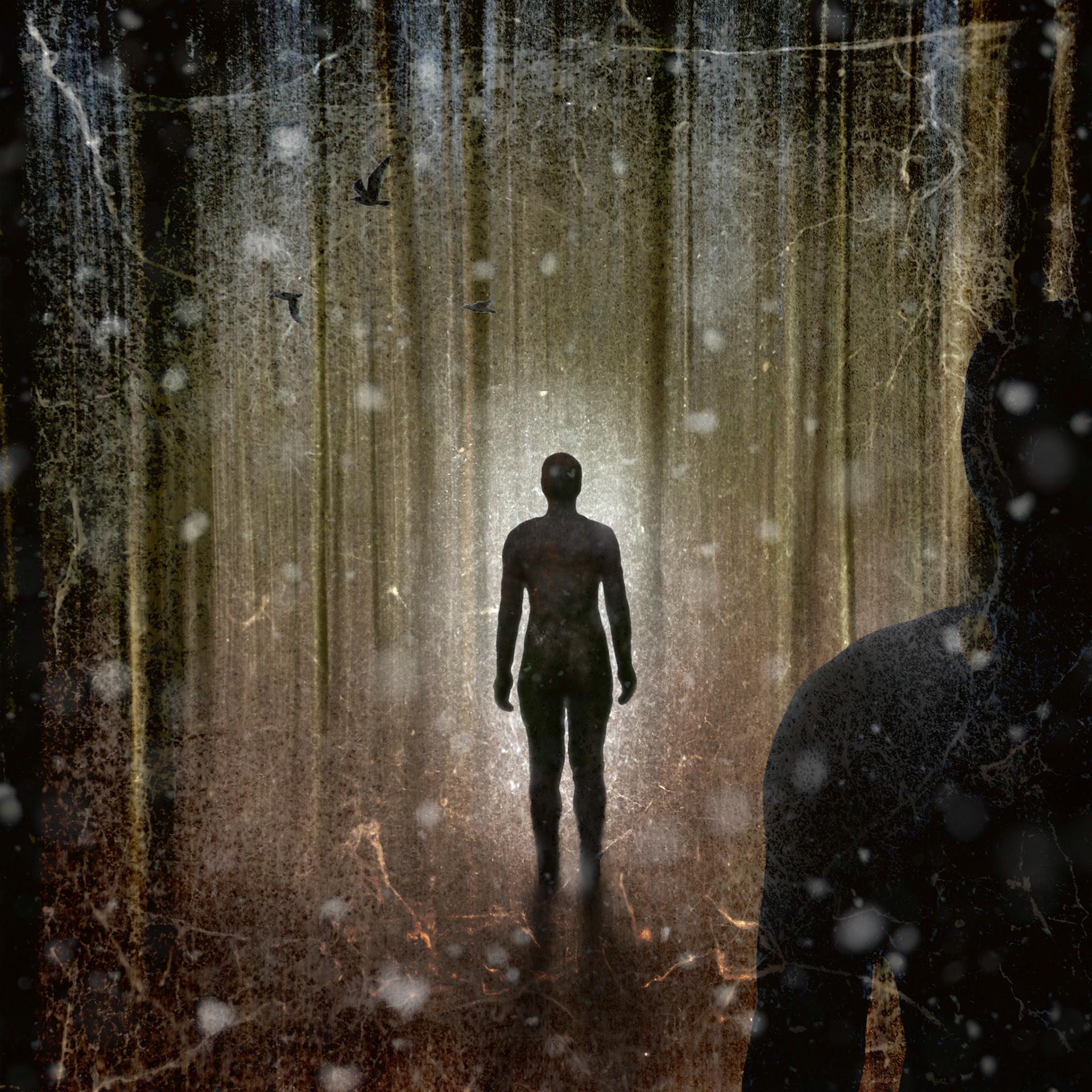 If you go down to the woods...