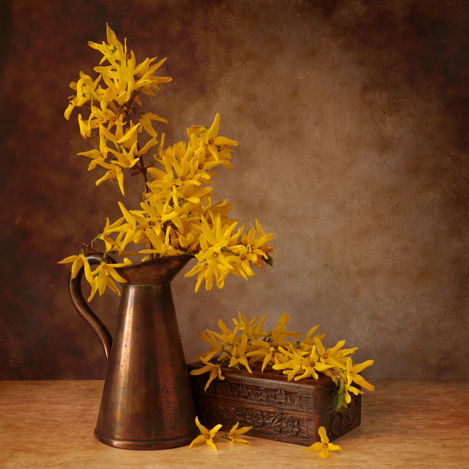 Forsythia