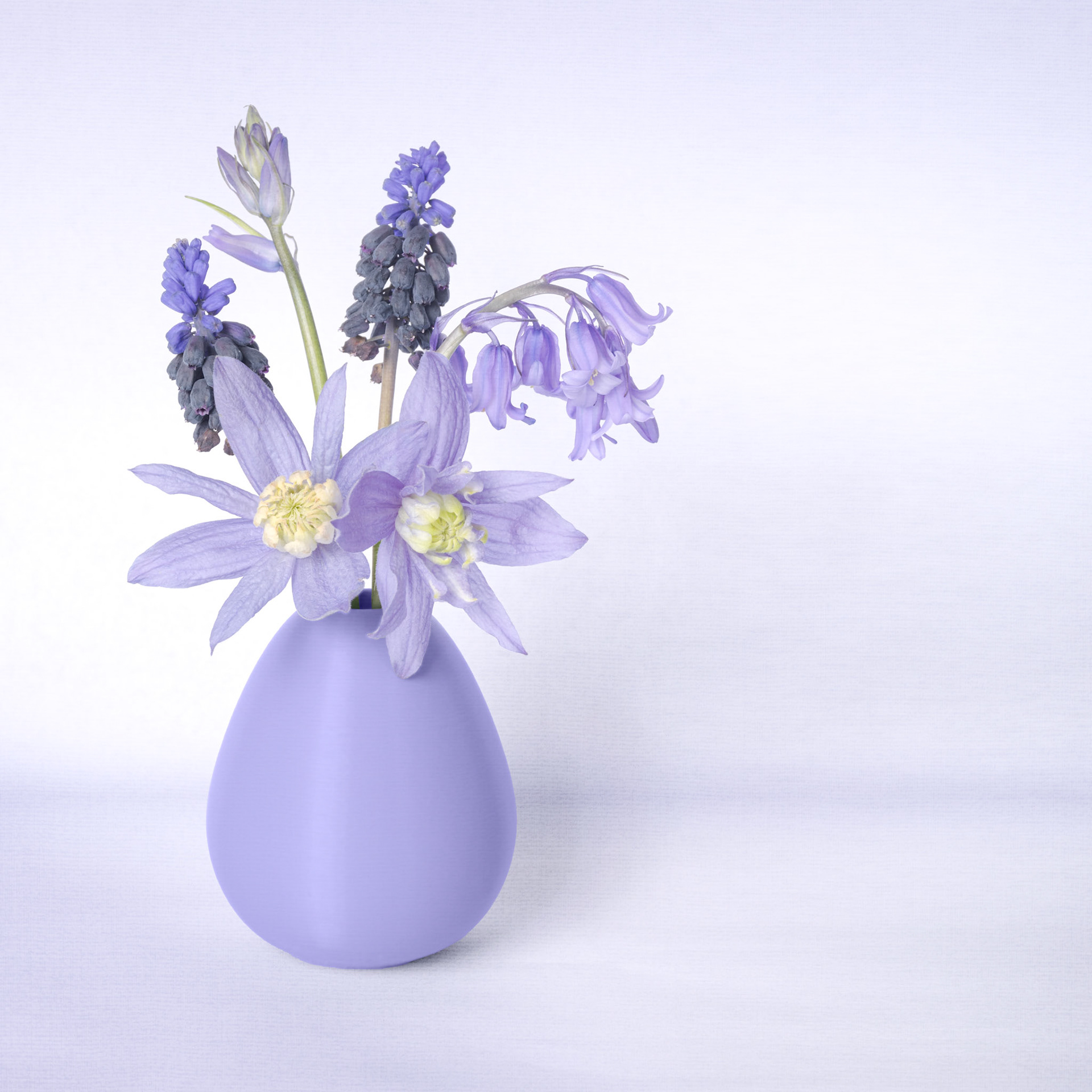 Shades of lilac