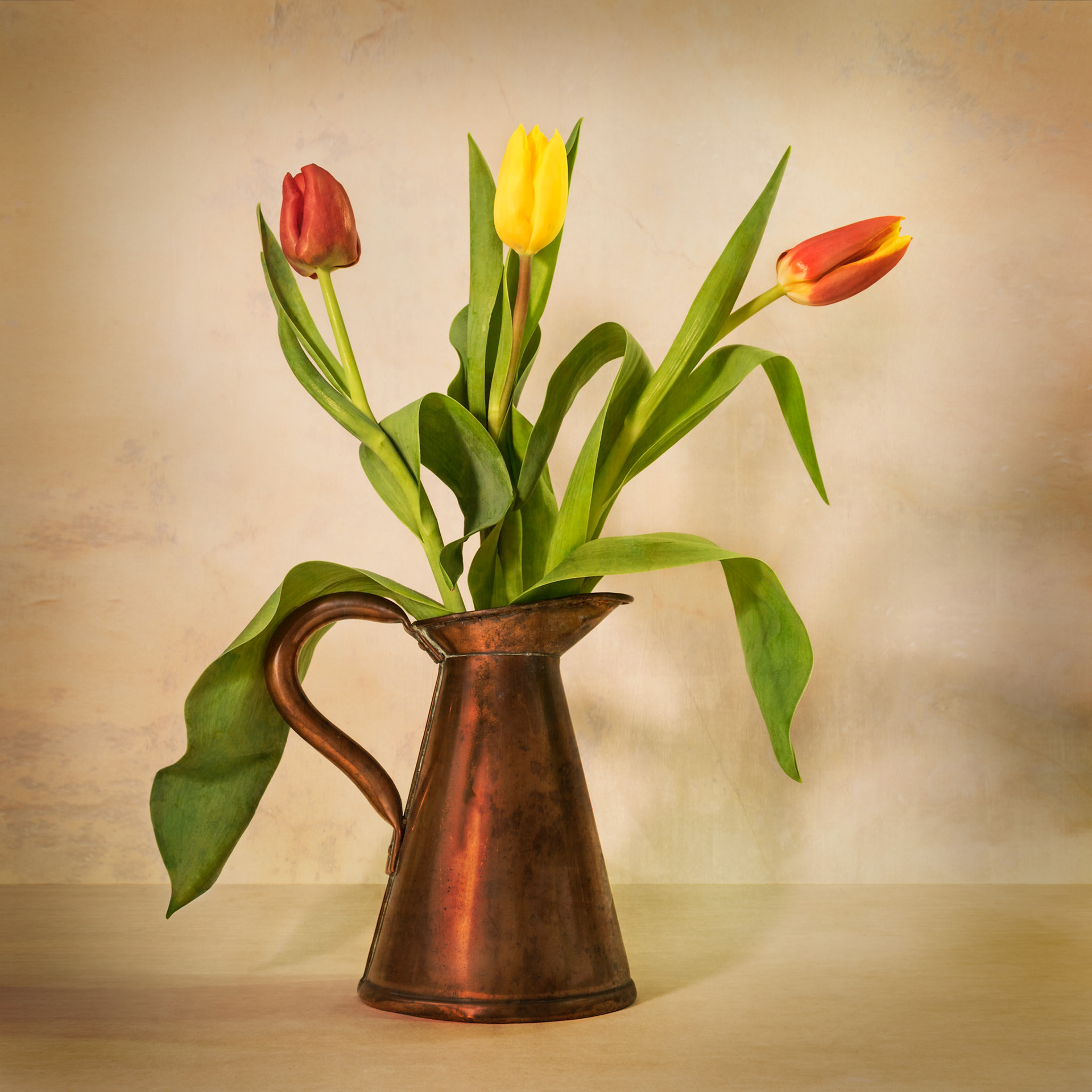 Tulips in Copper Jug