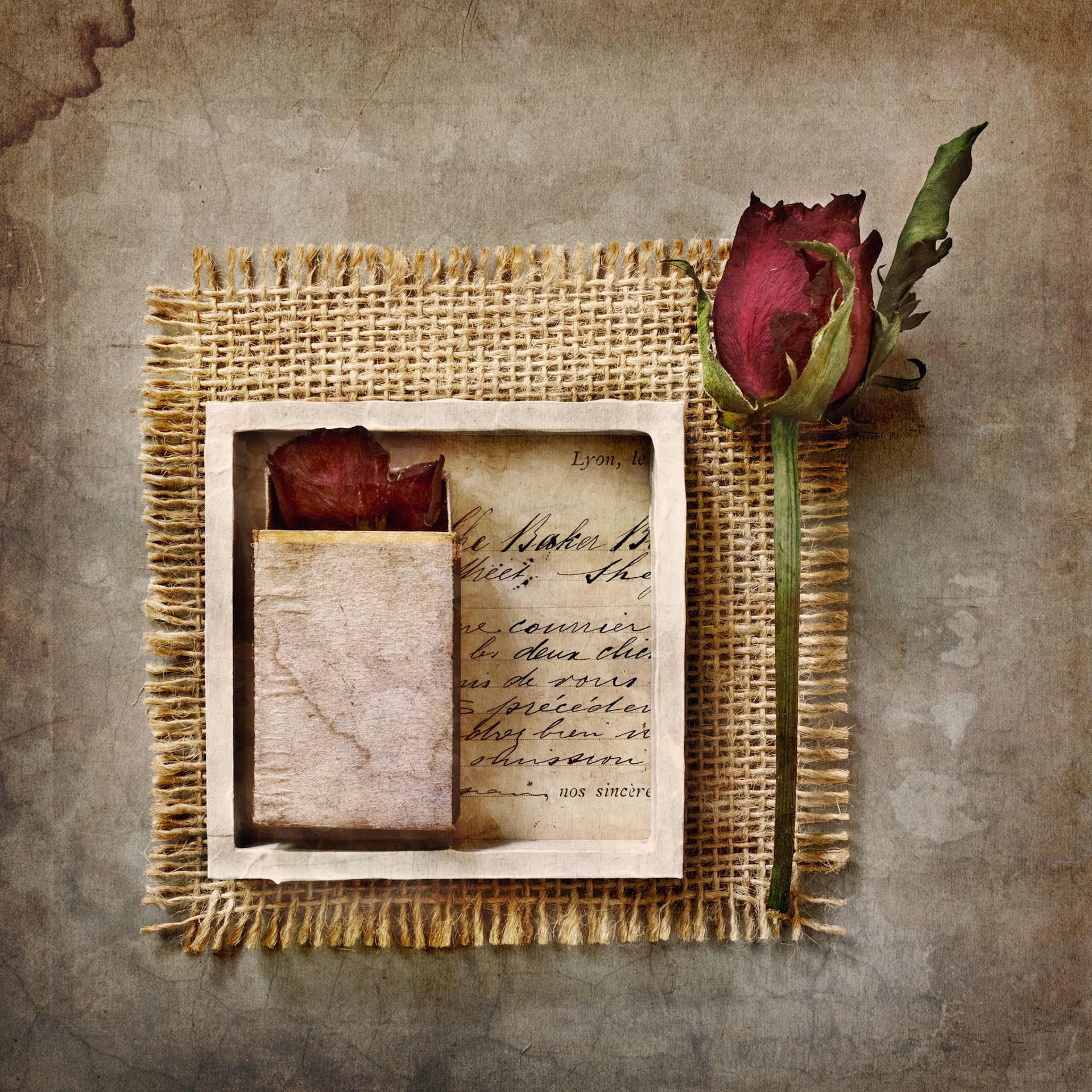 Rose on hessian