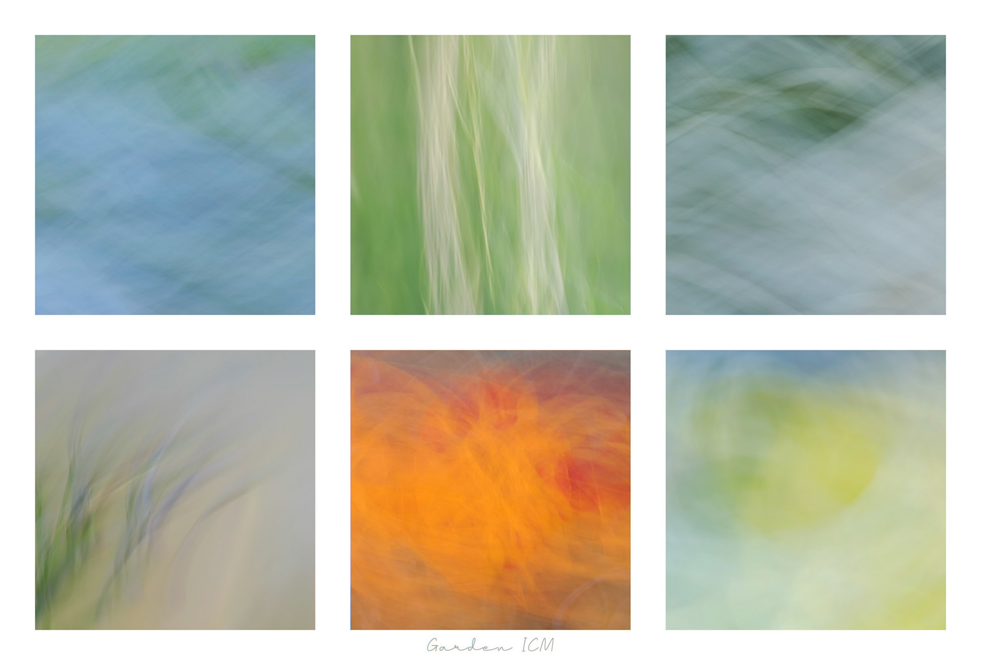 Garden ICM
