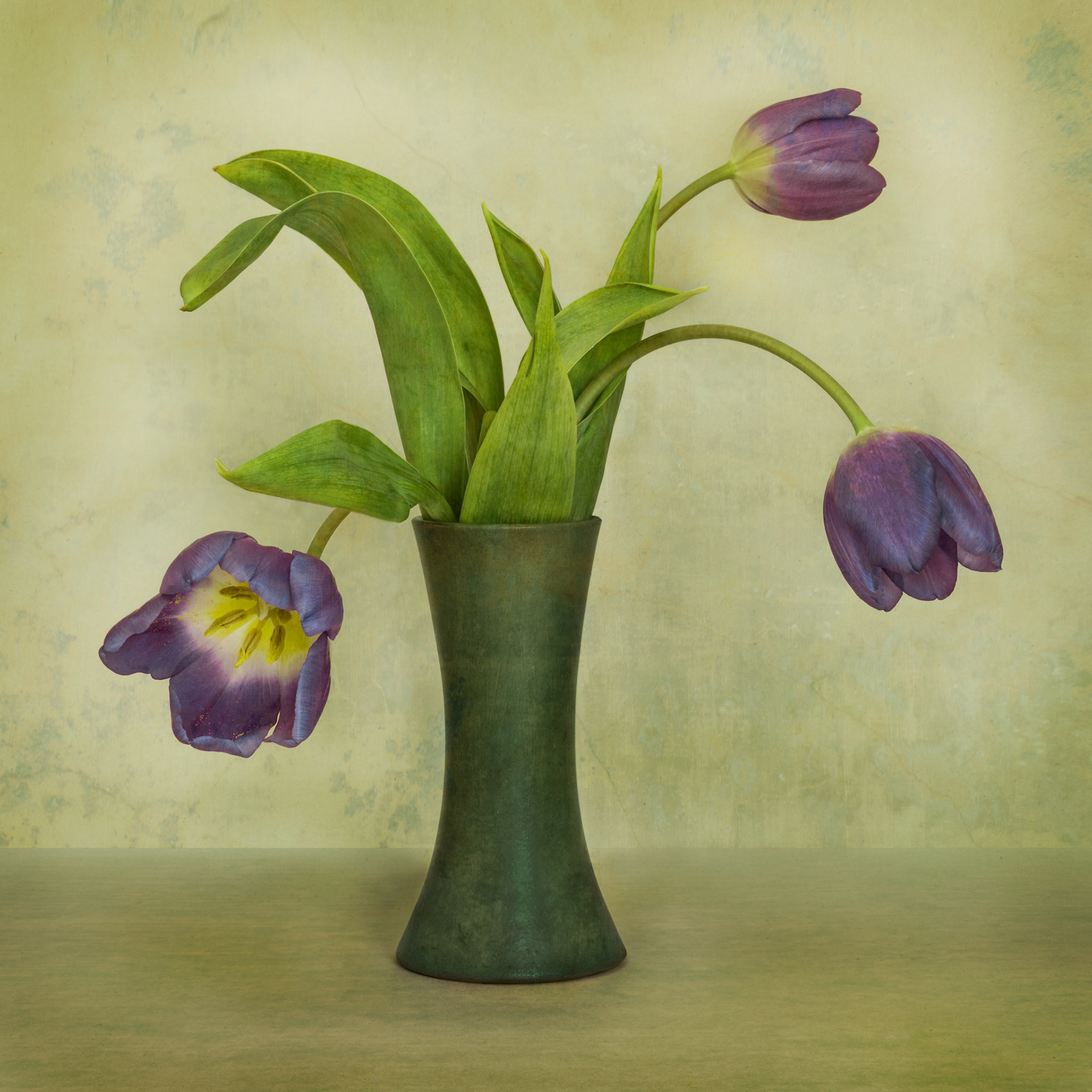 Tulips in Green Vase