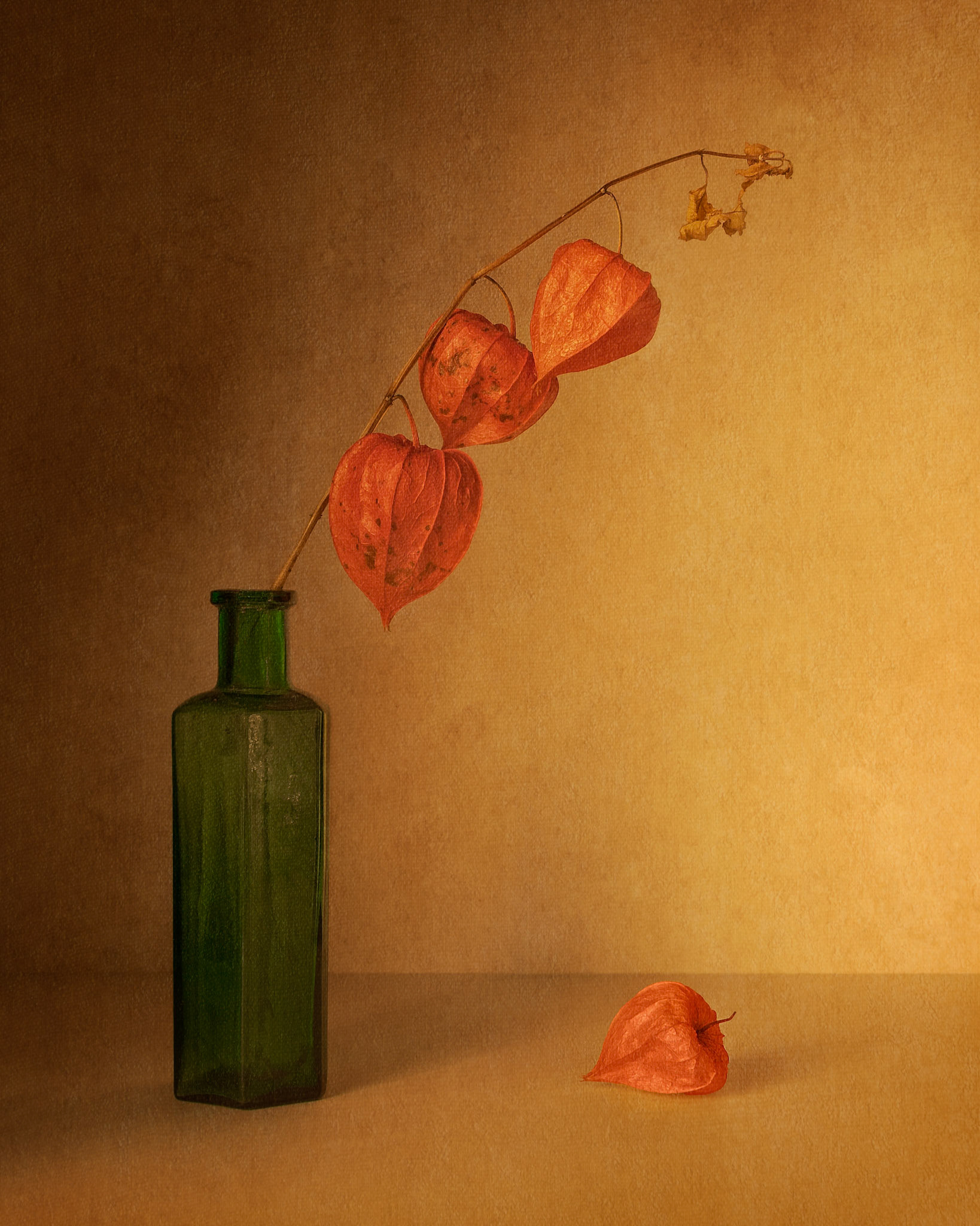 Physalis