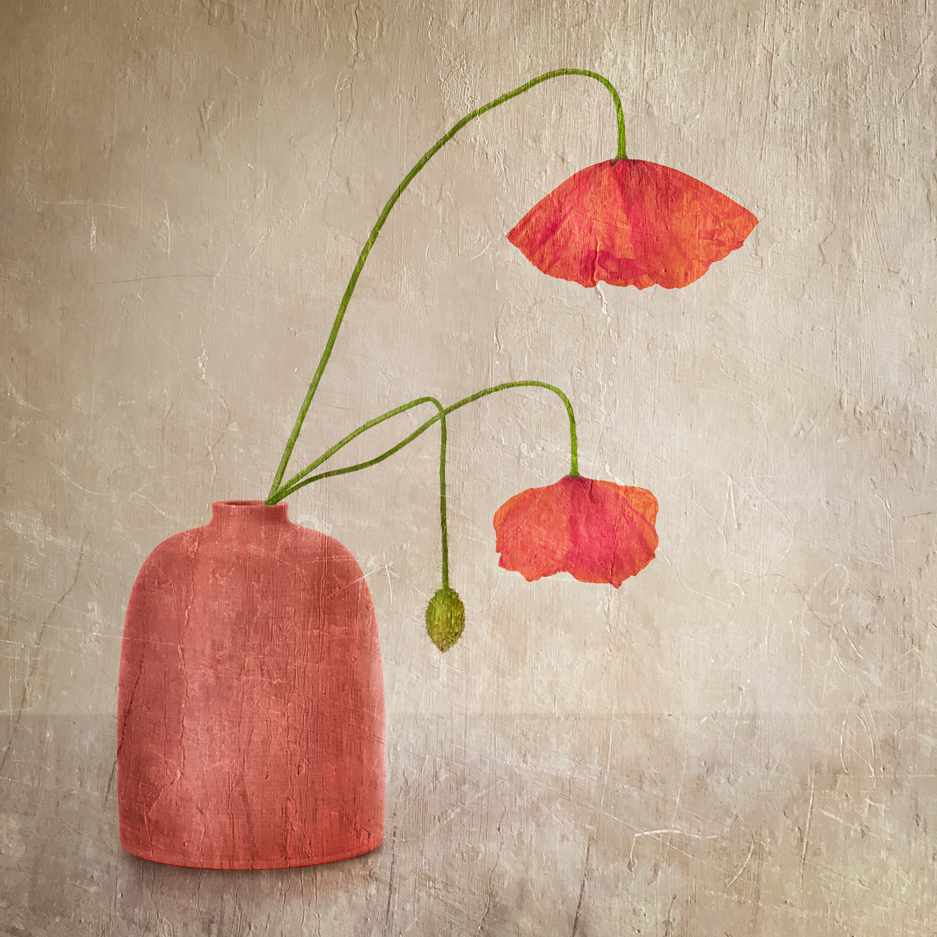 Drooping Poppies