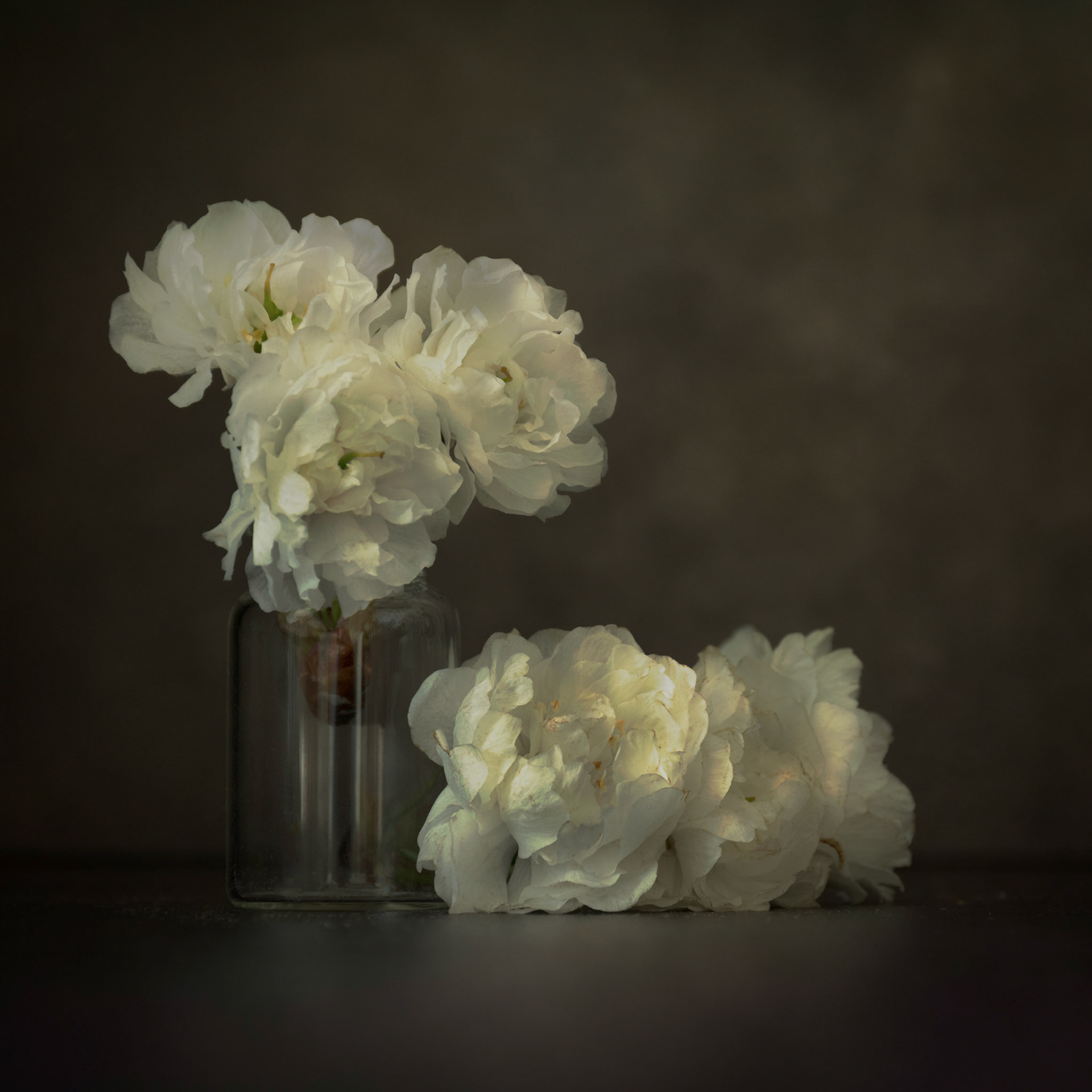 Blossom