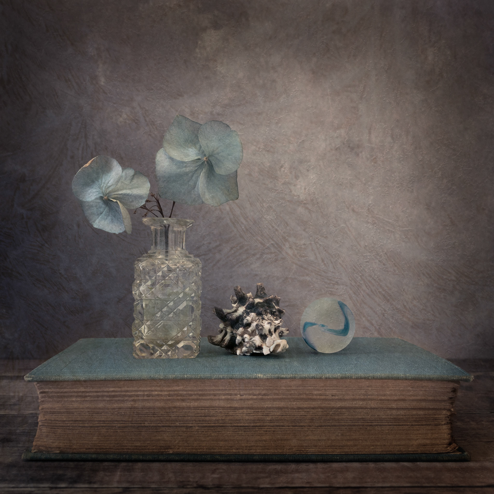 Three Things - Hydrangea