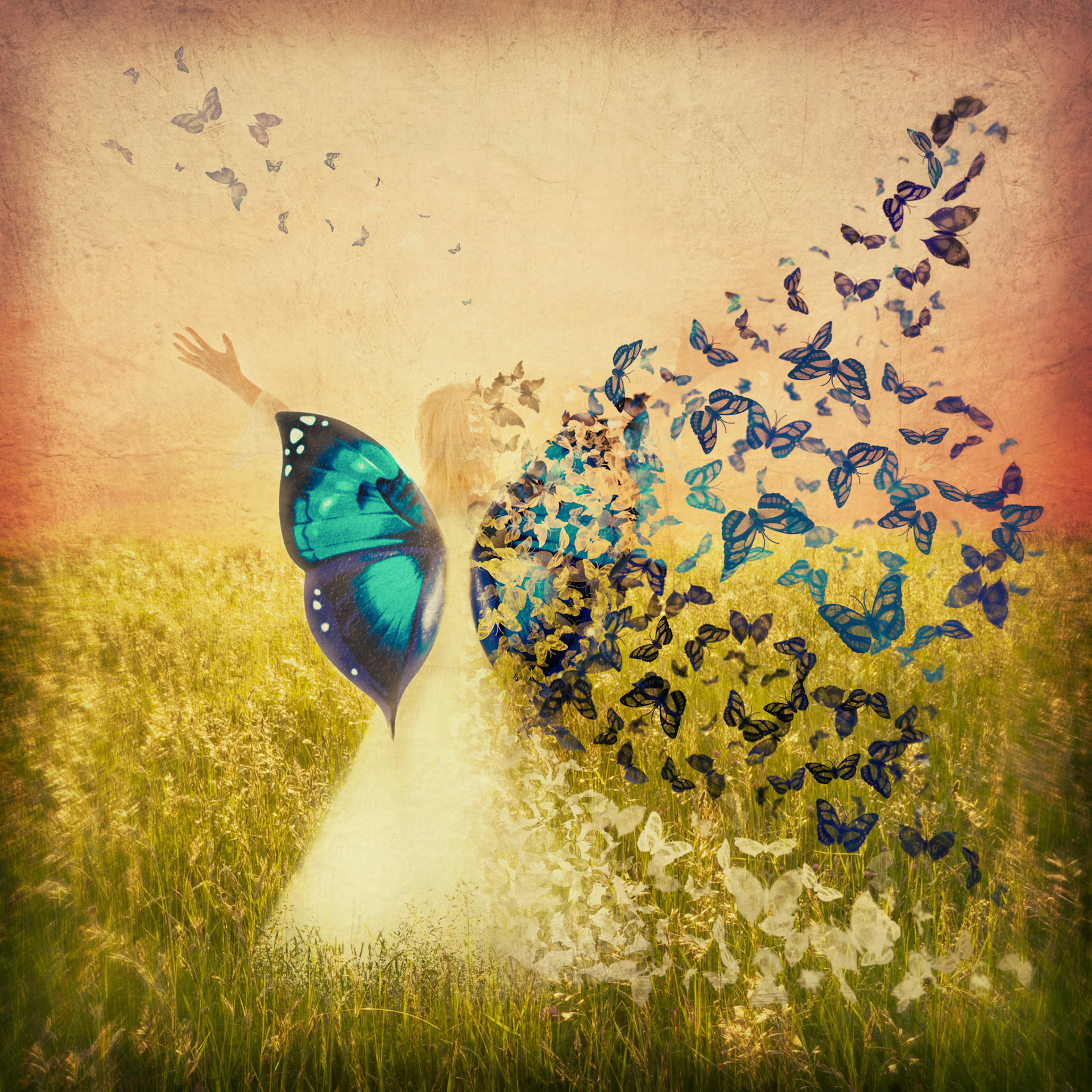 Metamorphosis