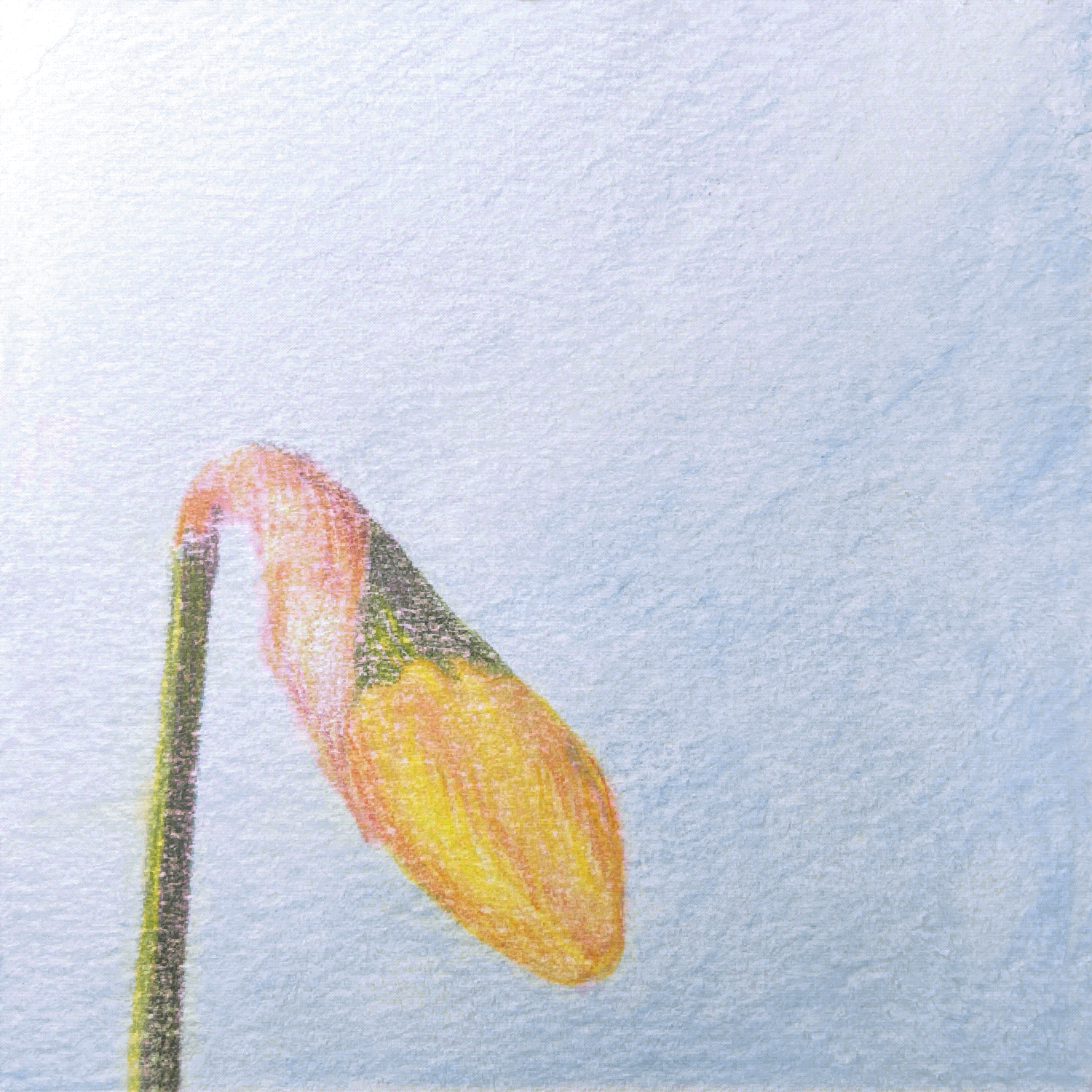 Hand-Drawn Animation