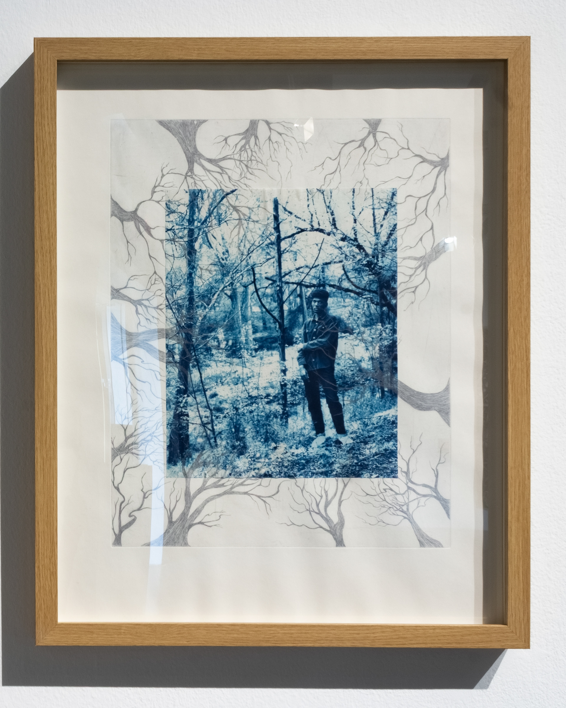 Winston, 2025 Cyanotype on Thai Kozo as chine colle, etching printed in silver ink on cotton rag