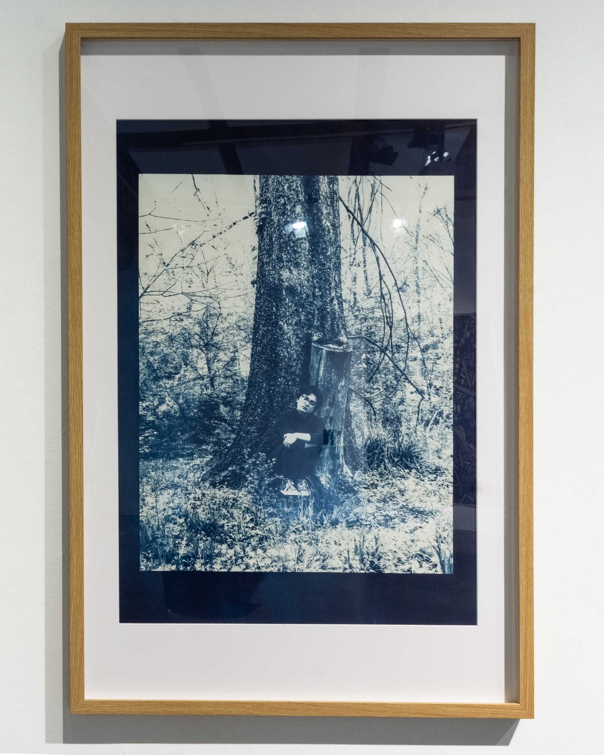 Zahan, 2025 Cyanotype on cotton rag