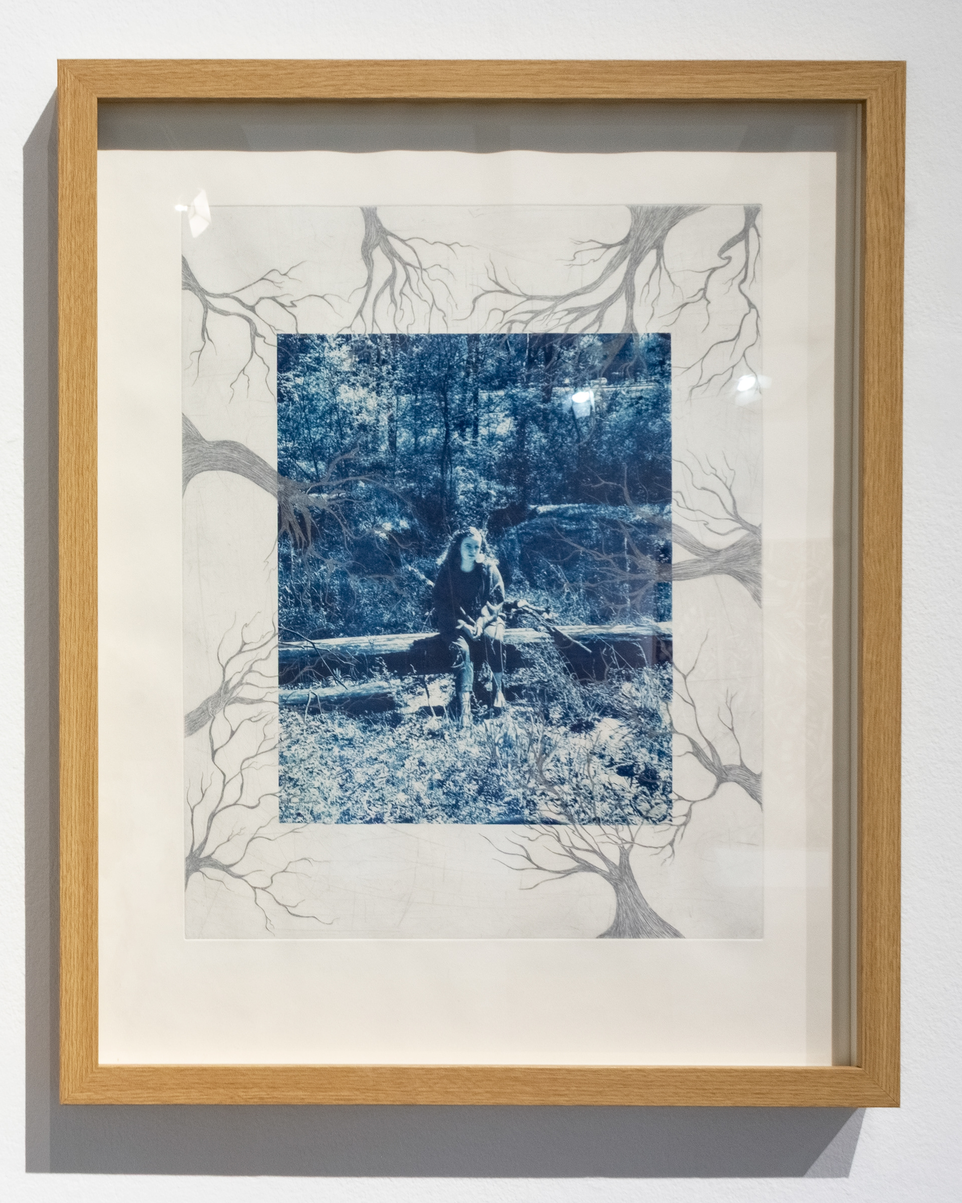Olive, 2025 Cyanotype on Thai Kozo as chine colle, etching printed in silver ink on cotton rag