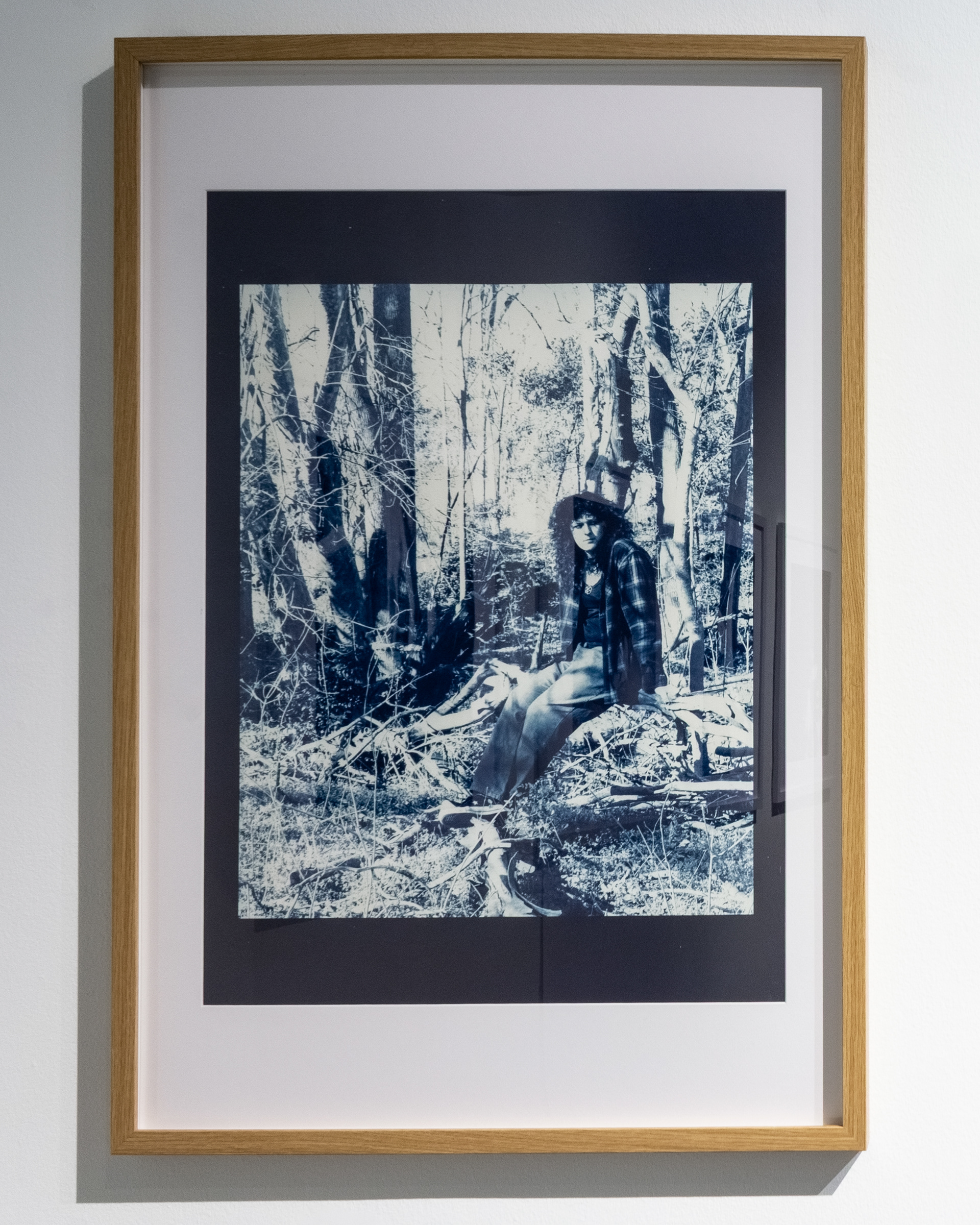 Hazel, 2025 Cyanotype on cotton rag