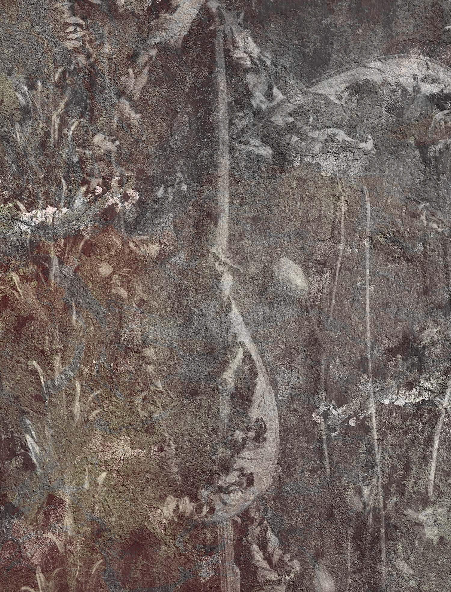 Fotografie getrocknete Pflanzen