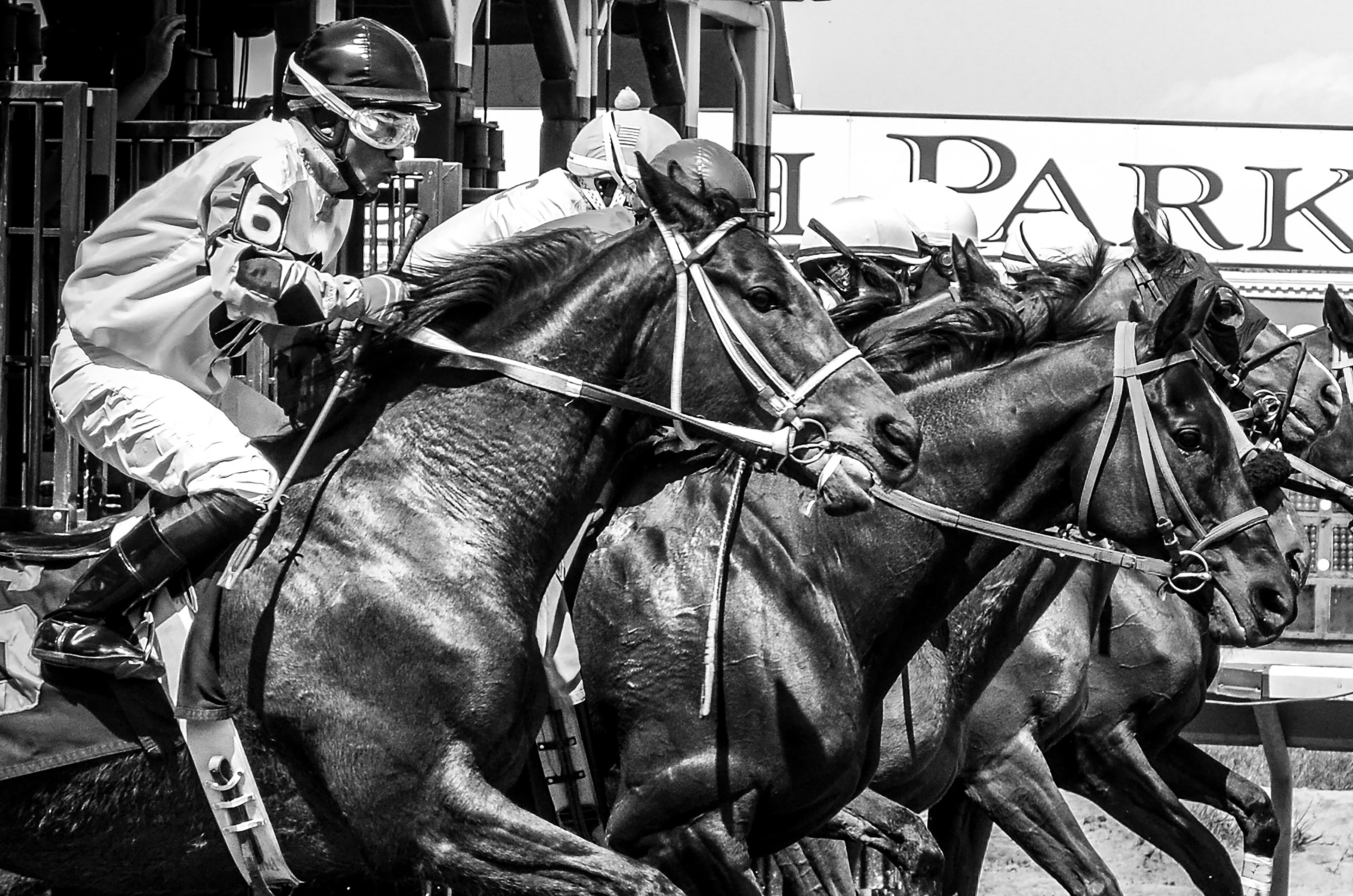 Jockeys and their horses explode form the gate on the last race day at Beulah Park. 