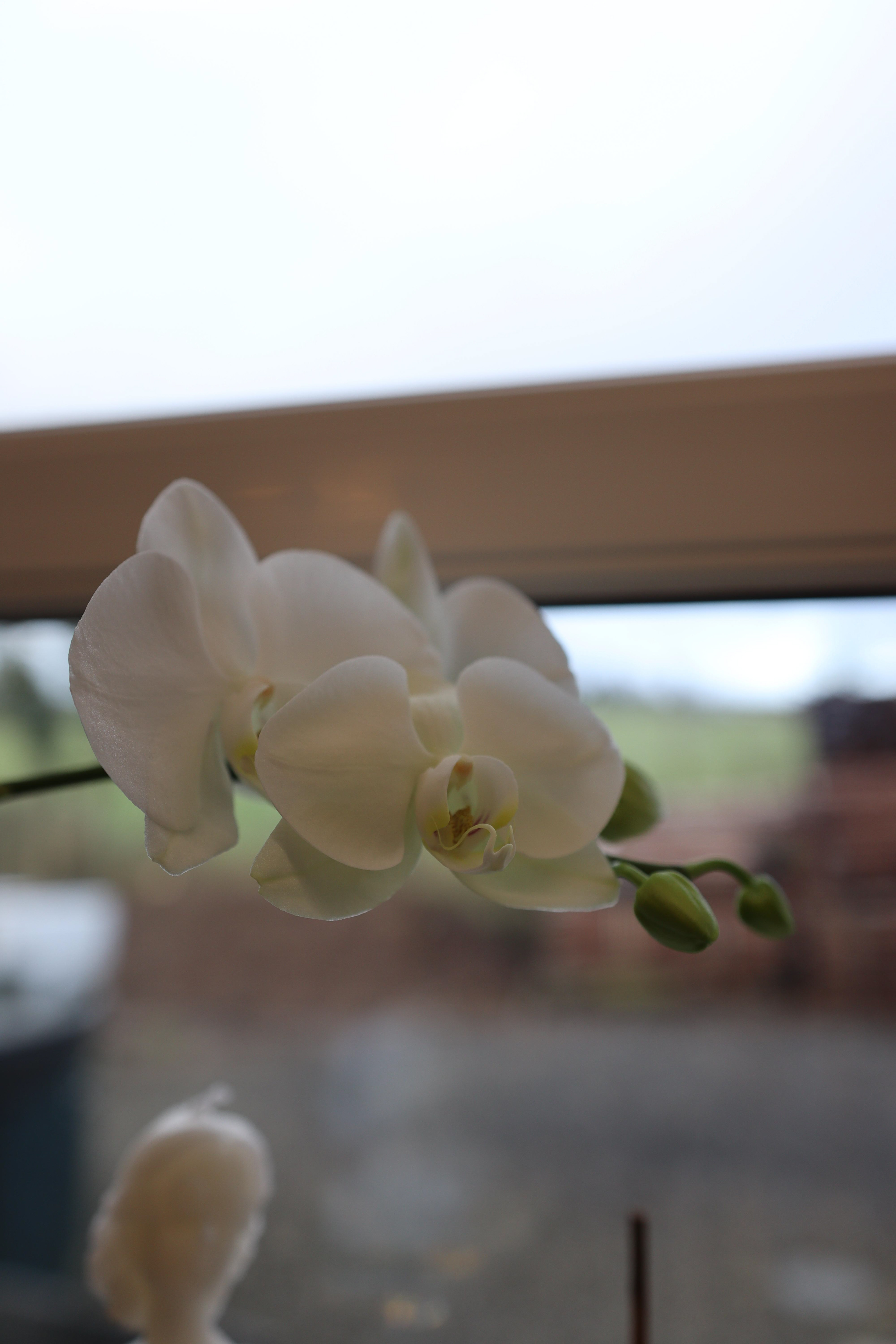 Canon EOS 250D, f/2.2 & ISO 100