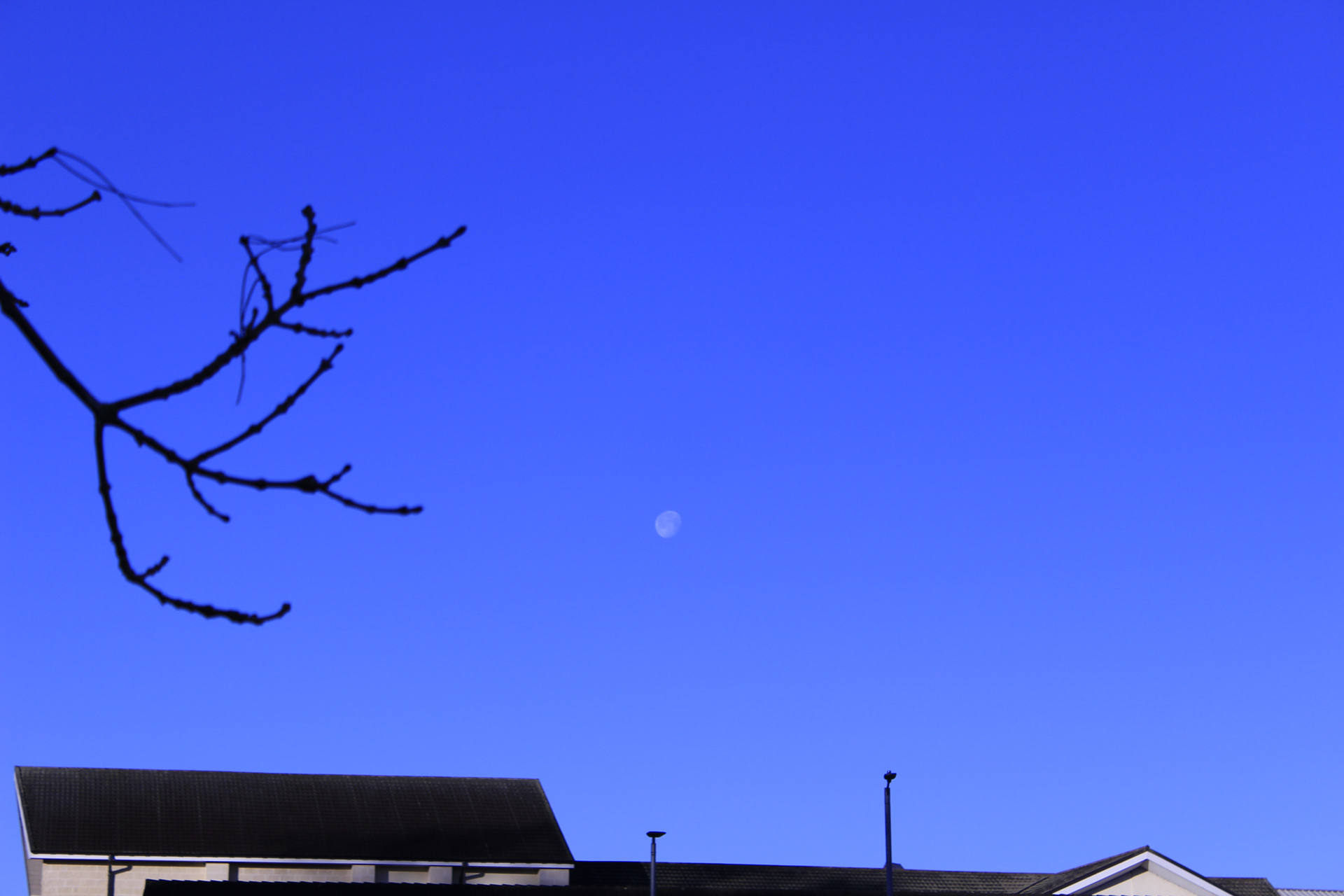 Canon EOS 100D, f/5.6 & ISO 100