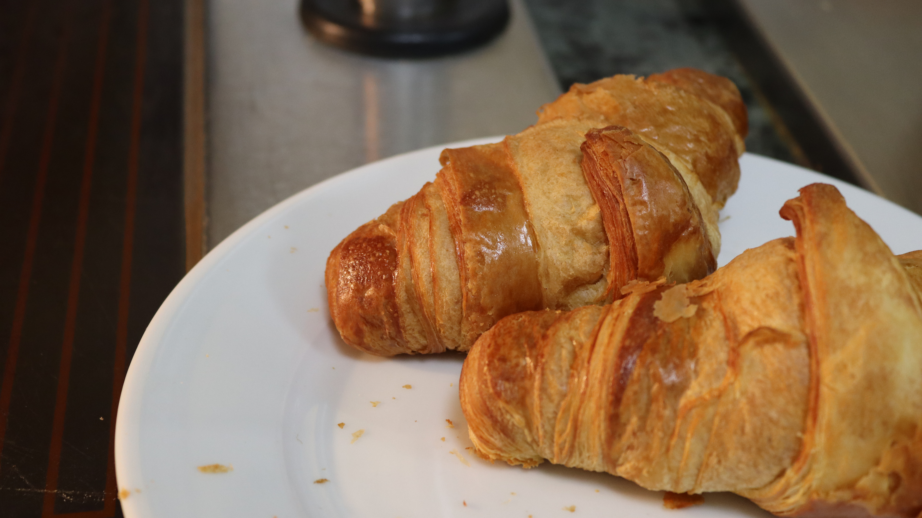 Canon EOS 250D, f/5 with an ISO of 1250 