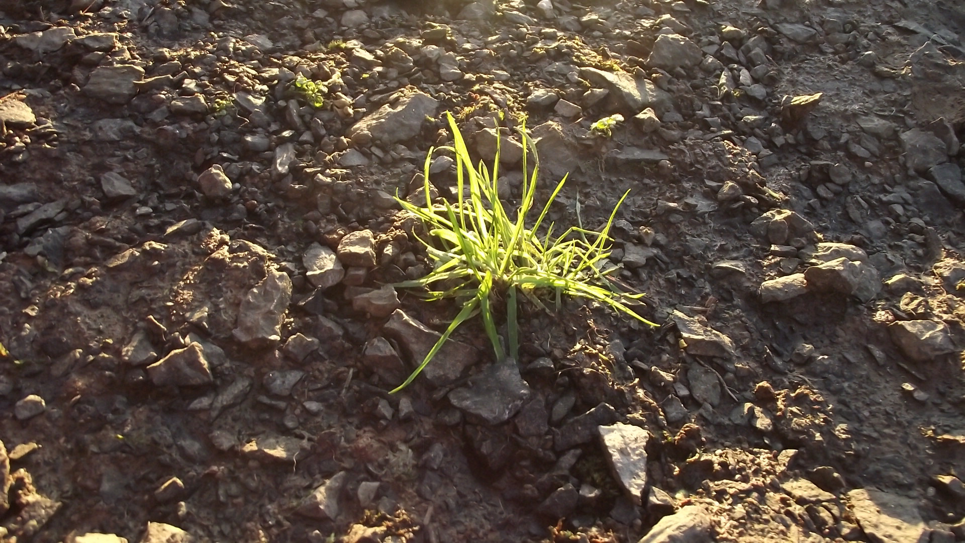 Fujifilm FinePix S2500HD, f/3.1 & ISO 200