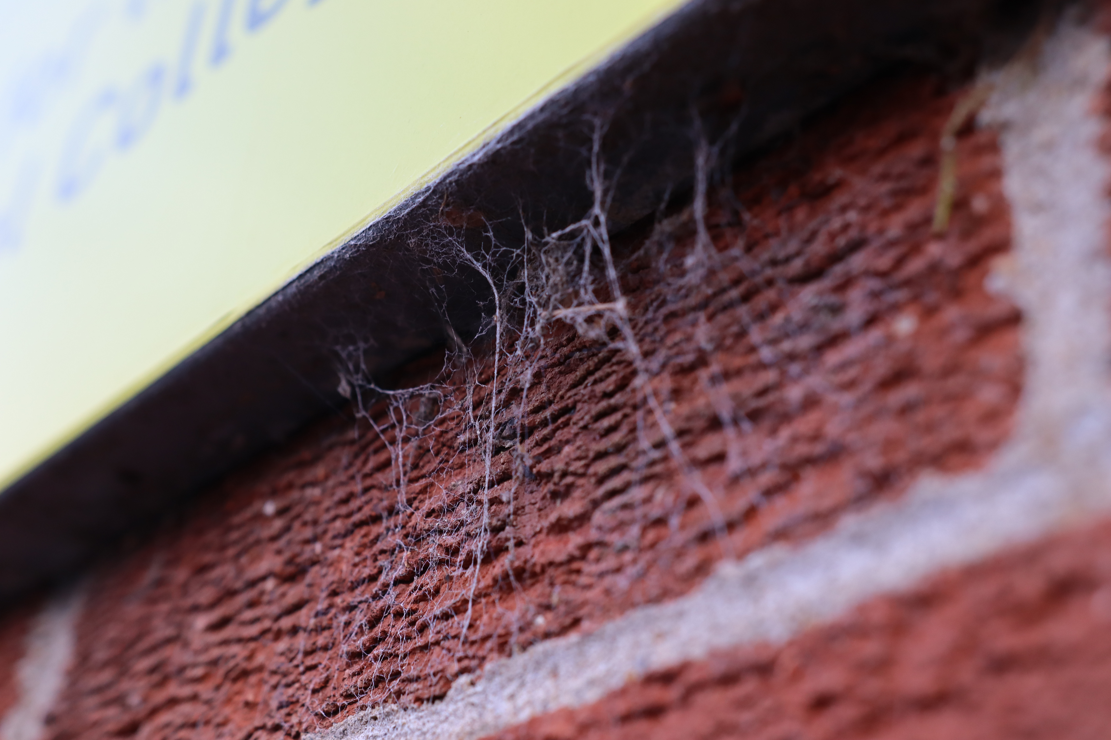 Canon EOS 250D, f/4 & ISO 320