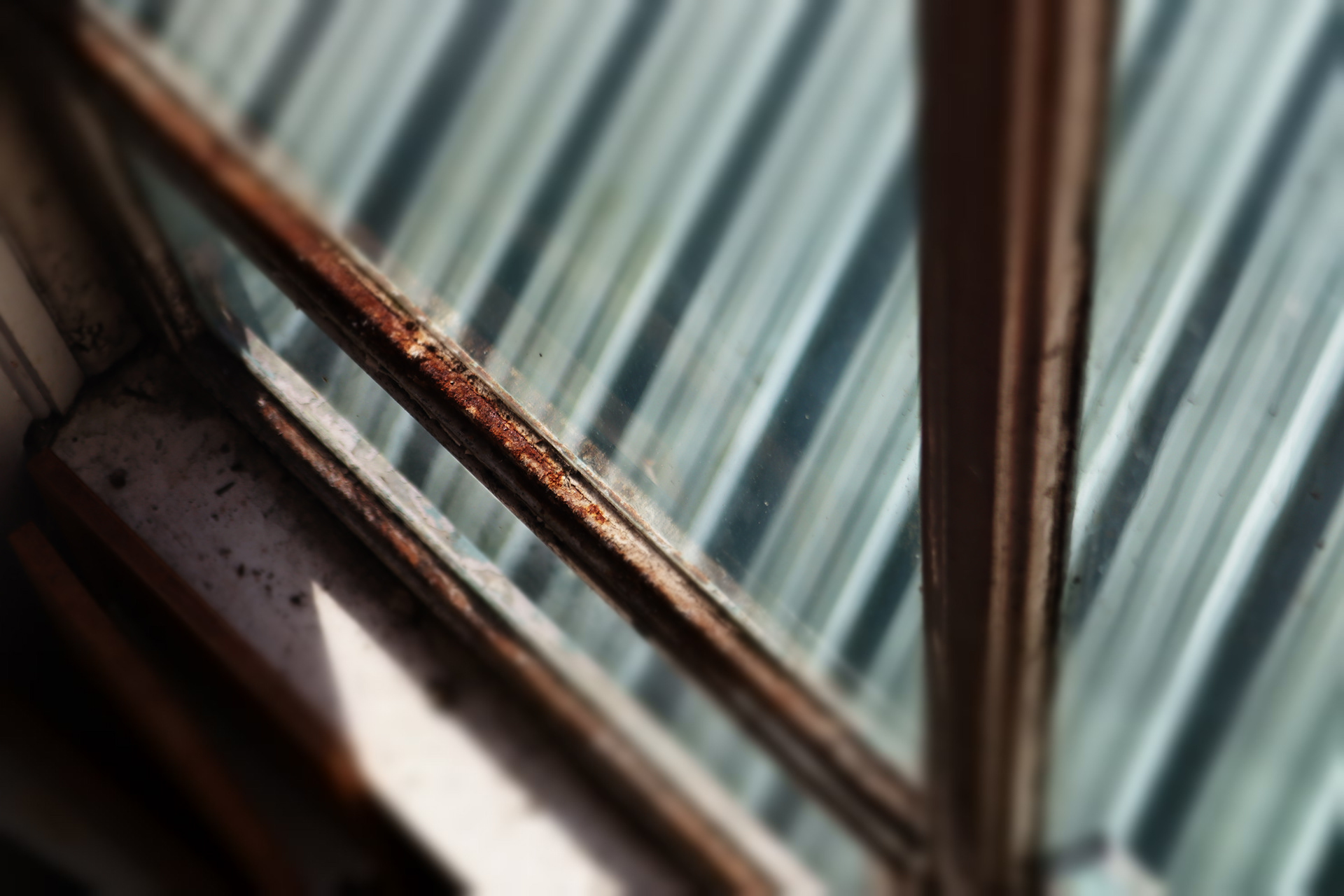 Canon EOS 250D, f/5.6 & ISO 100