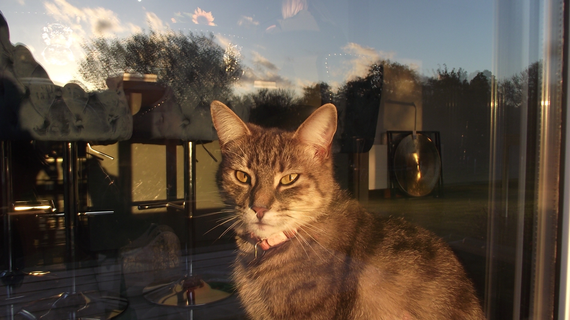 Fujifilm FinePix S2500HD, f/3.1 & ISO 64