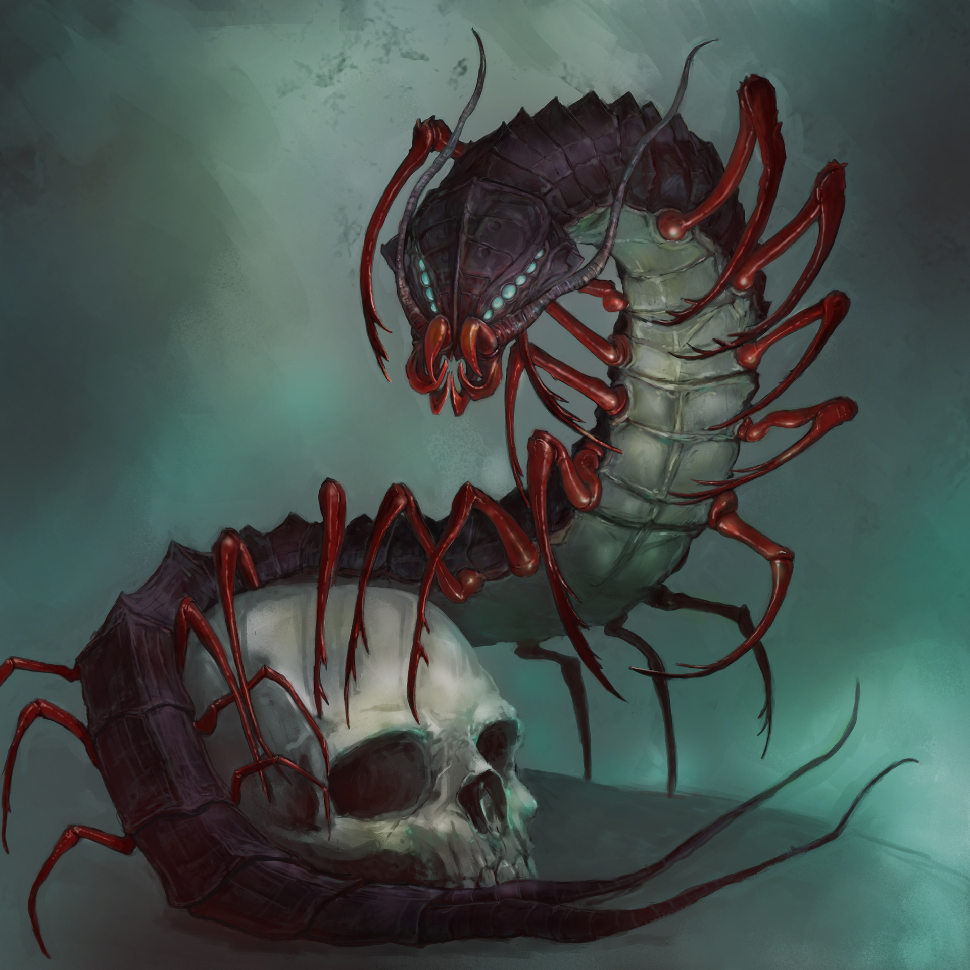 Giant Centipede. Adobe Photoshop. 