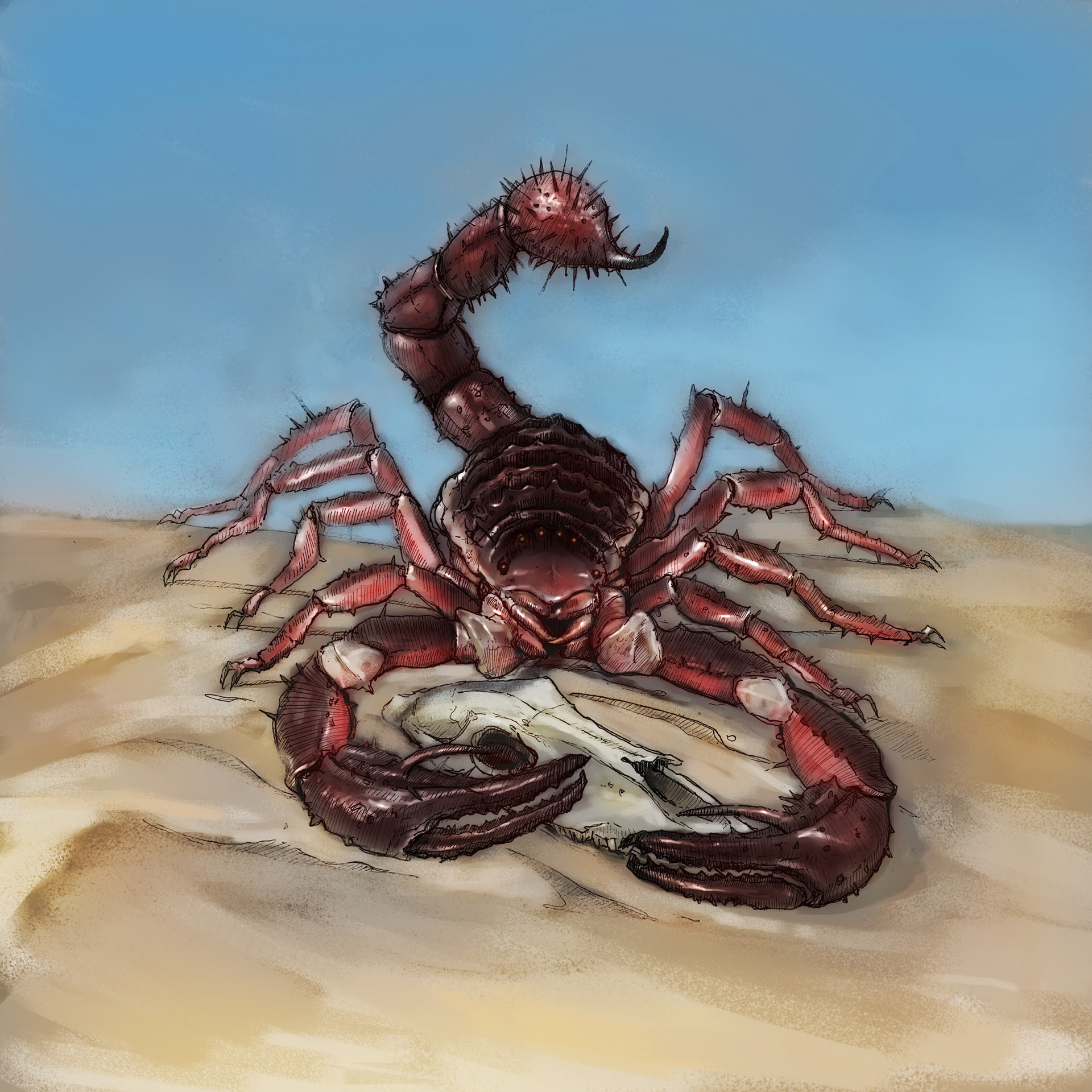 Giant Scorpion. Pen drawing, coloured in Adobe Photoshop.