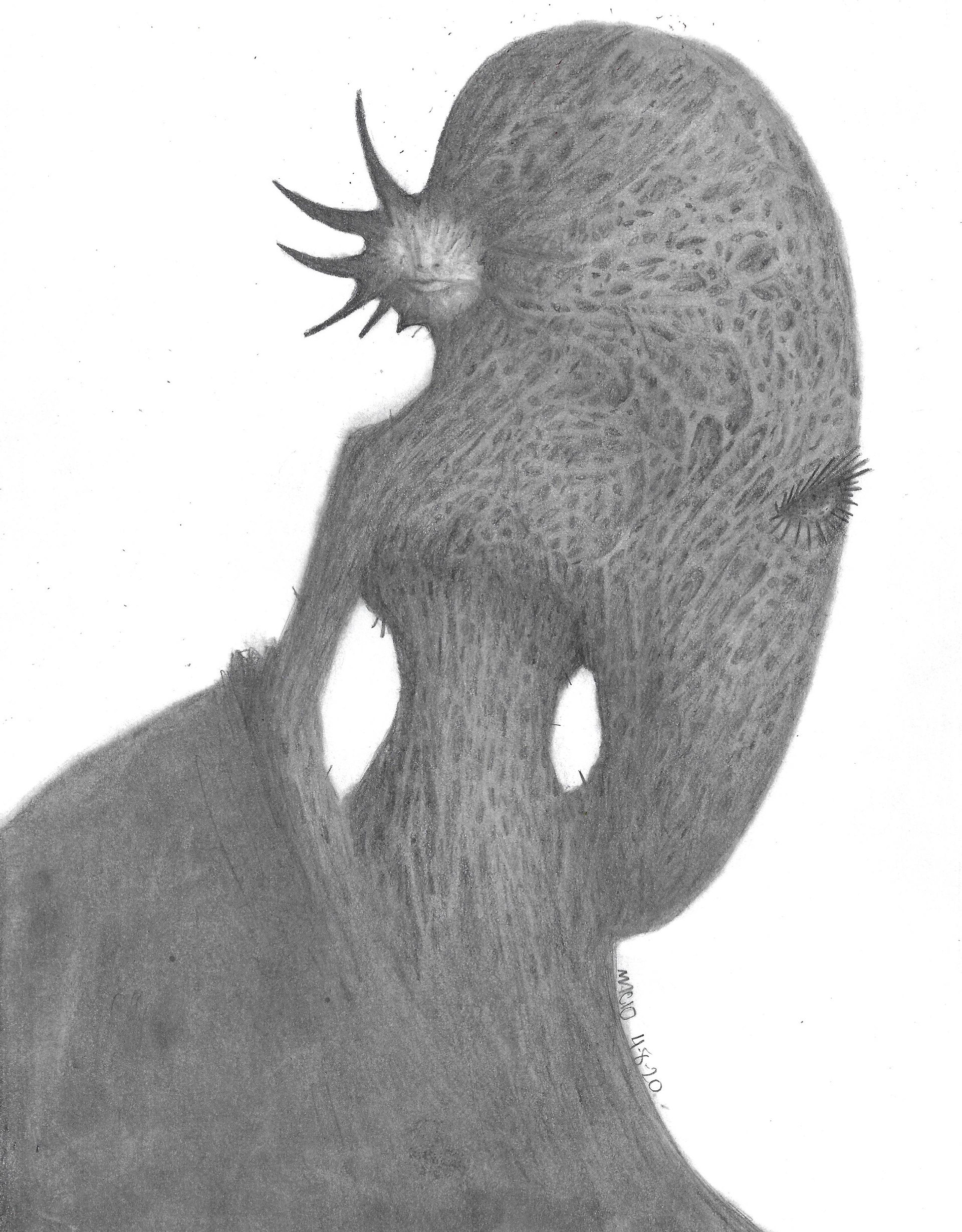 "Persona" 2020 graphite on cardstock 8.5"x11"