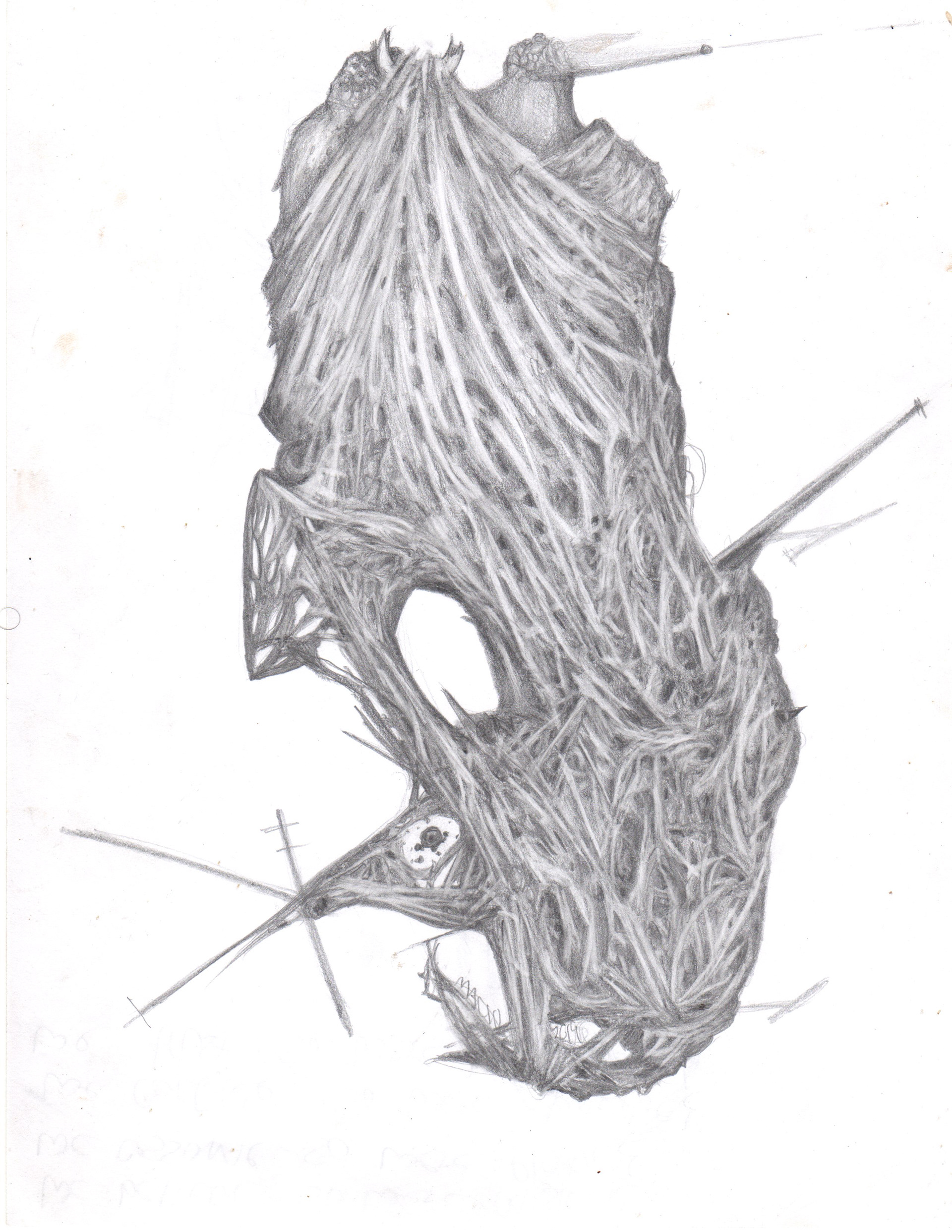 "Human Birth" 2019 graphite on cardstock 8.5"x11"