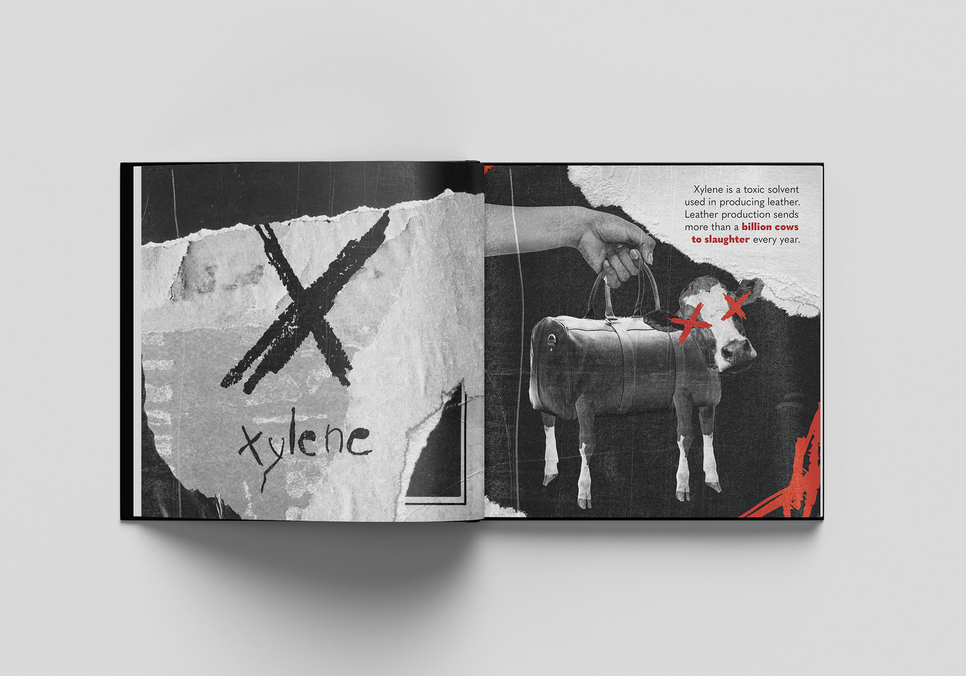 Xylene is a toxic solvent used in producing leather. Leather production sends more than a billion cows to slaughter every year.