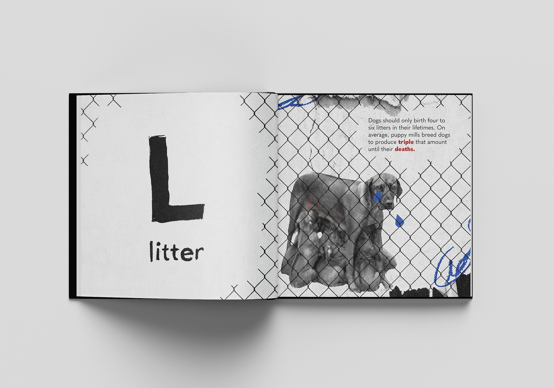 Dogs should only birth four to six litters in their lifetimes. On average, puppy mills breed dogs to produce triple that amount until their deaths.