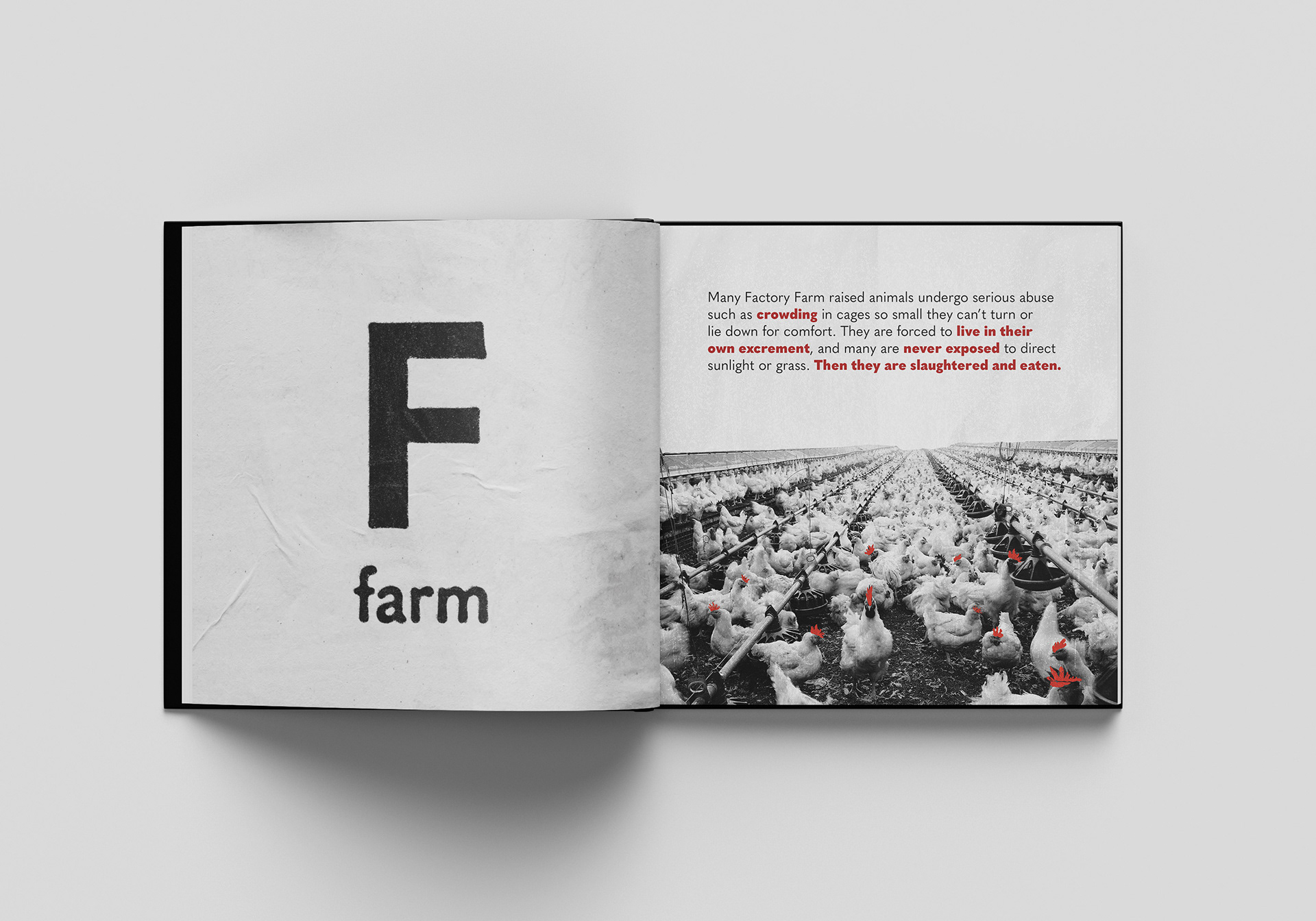 Many Factory Farm raised animals undergo serious abuse such as crowding in cages so small they can't turn or lie down for comfort. They are forced to live in their own excrement, and many are never exposed to direct sunlight or grass. Then they are slaughtered and eaten.