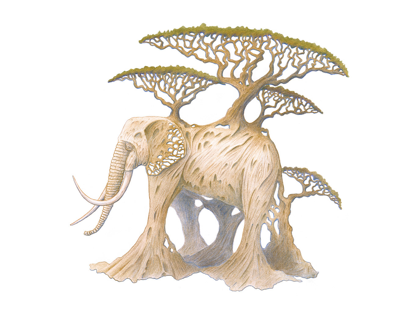 The image features an elephant painted against a white backdrop. The elephant's body seamlessly merges with the form of a tree, featuring acacia branches growing from its back. The elephant exudes a sense of majesty and tranquility as it gazes into the distance. The illustration is depicted in neutral, earthy colors, capturing the central theme of aging with grace and acceptance.