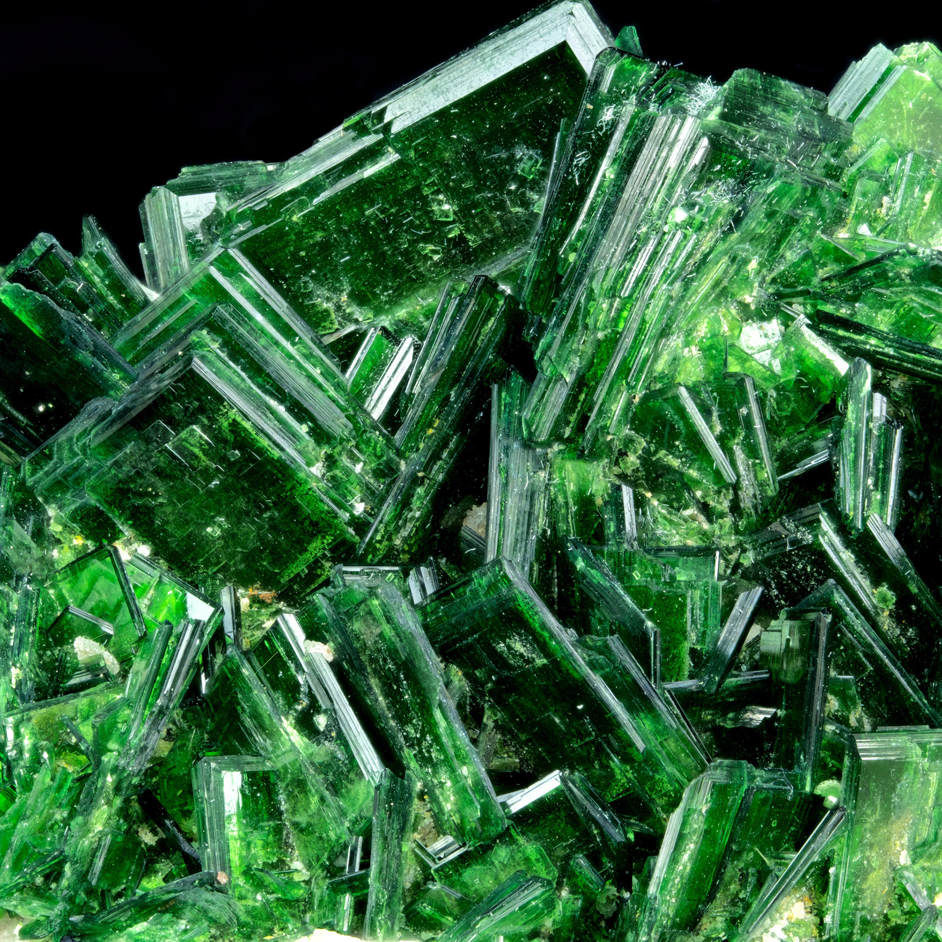 Torbernite - Kolwezi, DRC