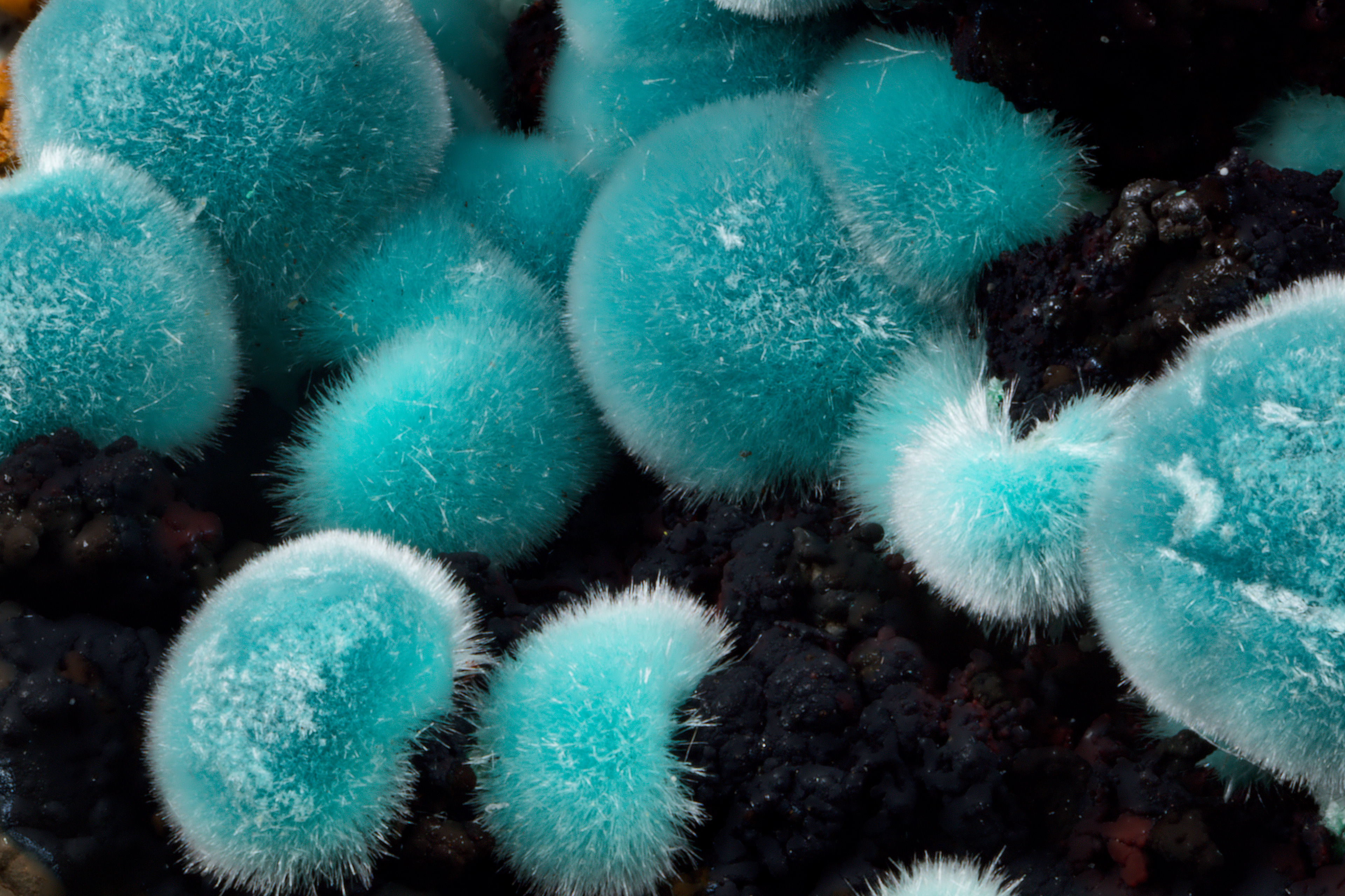 Aurichalcite - Globe Mine, AZ