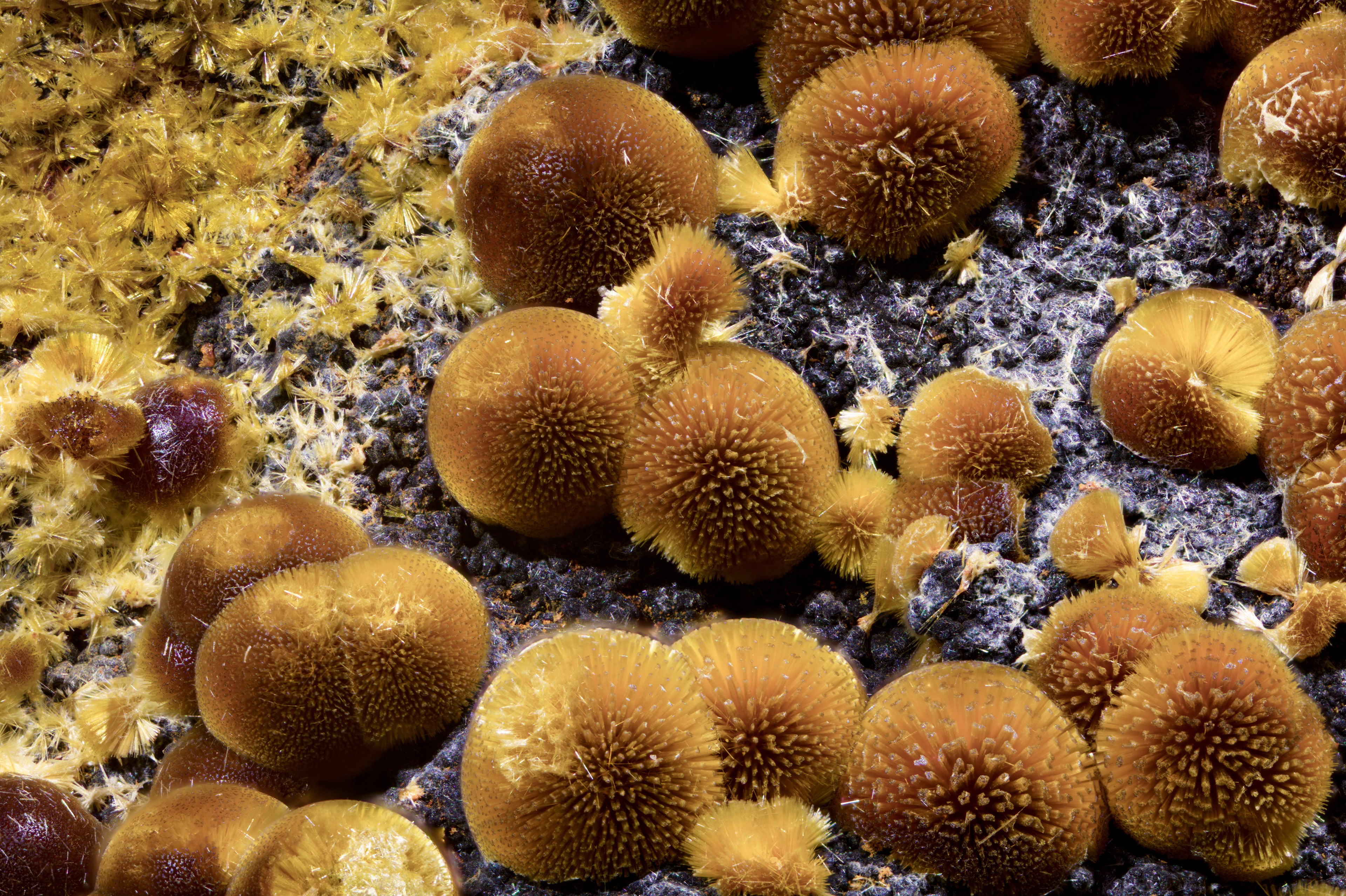 Cacoxenite - Arkansas