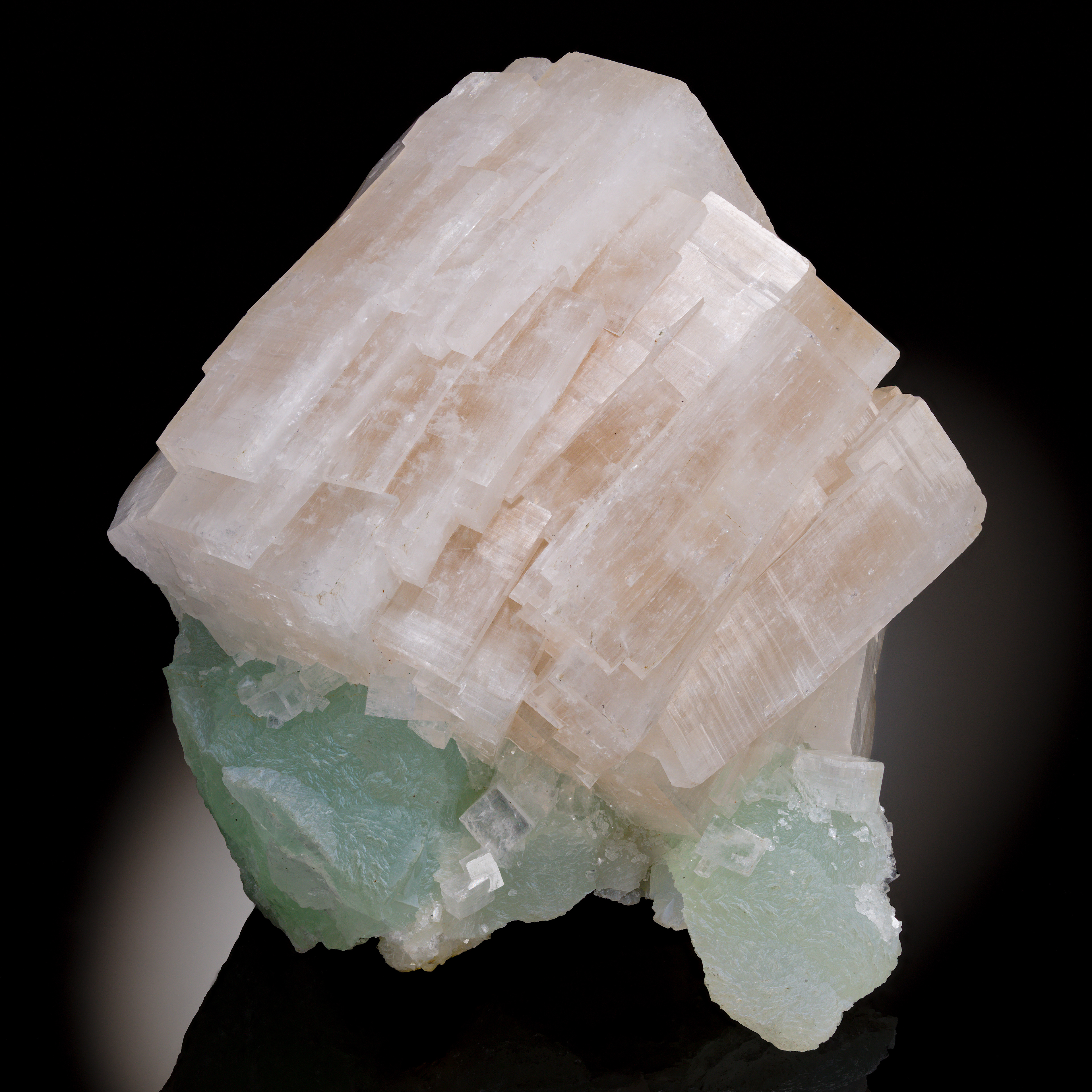 Hydroxyapophyllite-(K), Prehnite: Fairfax quarry, Virginia; Alex Venzke Collection