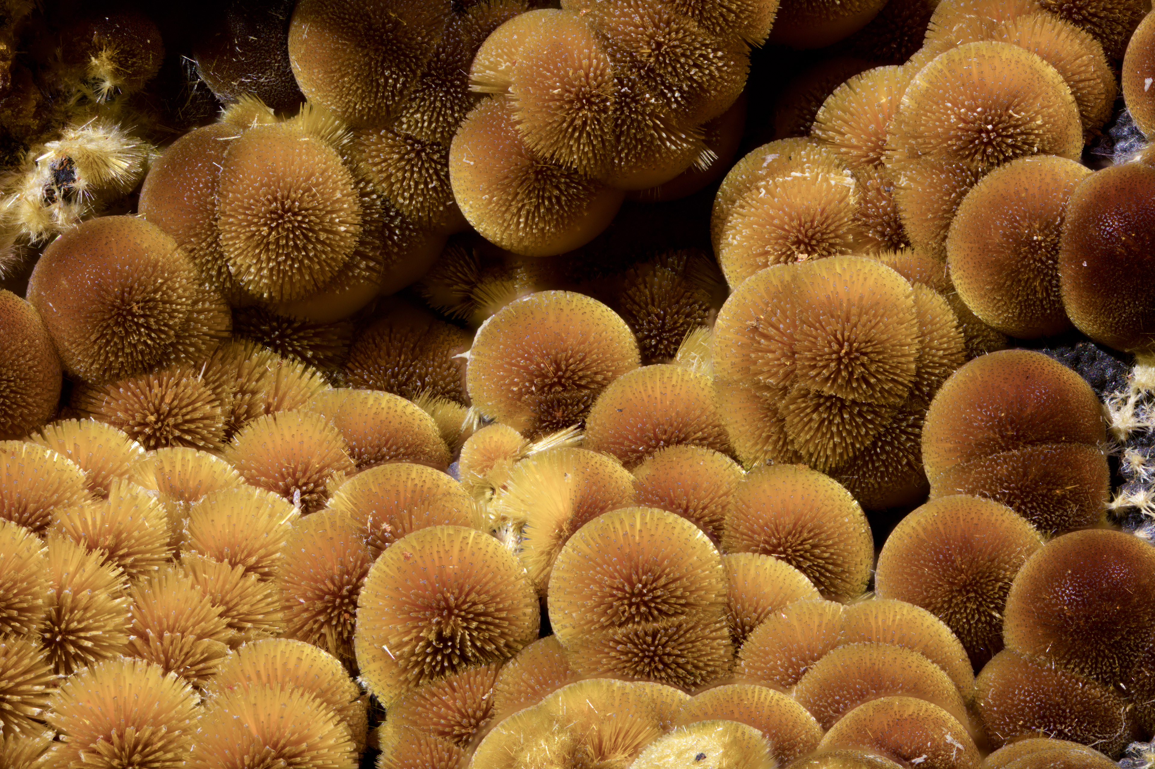 Cacoxenite - Arkansas