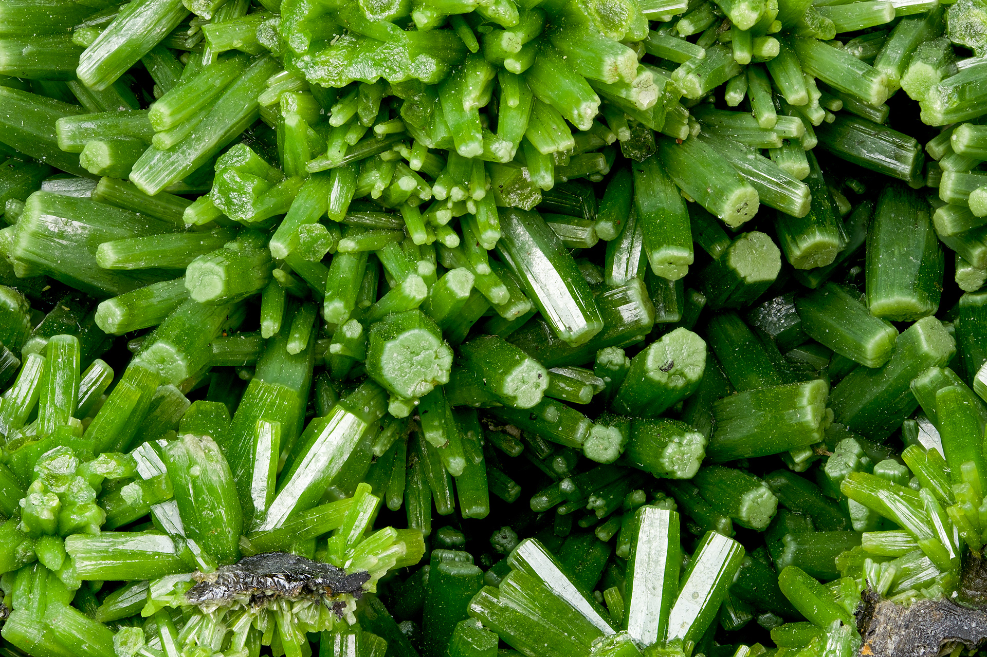 Pyromorphite - Les Farges, France