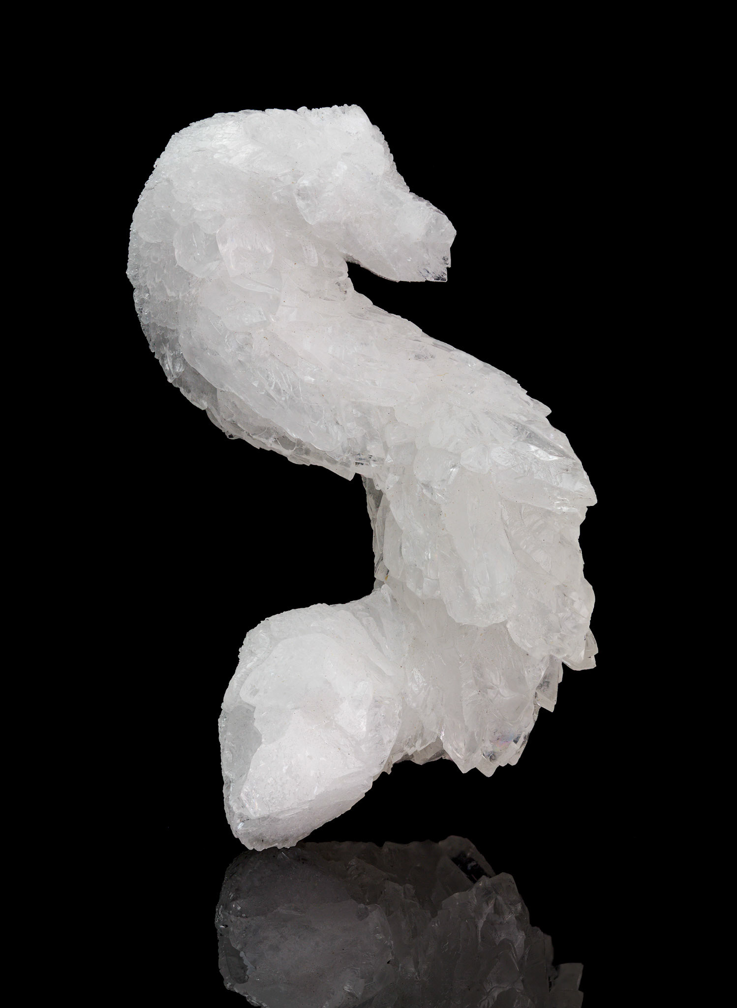 Calcite 'Seahorse': Black Jack mine, NV; Forrest Carithers Collection