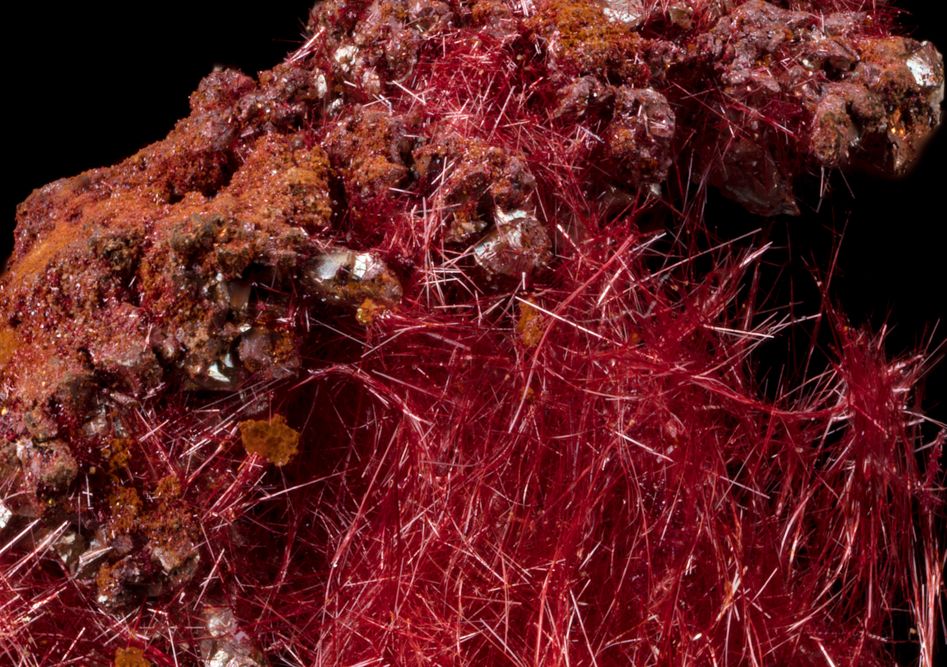 Copper var. Chalcotrichite - Ray mine, AZ