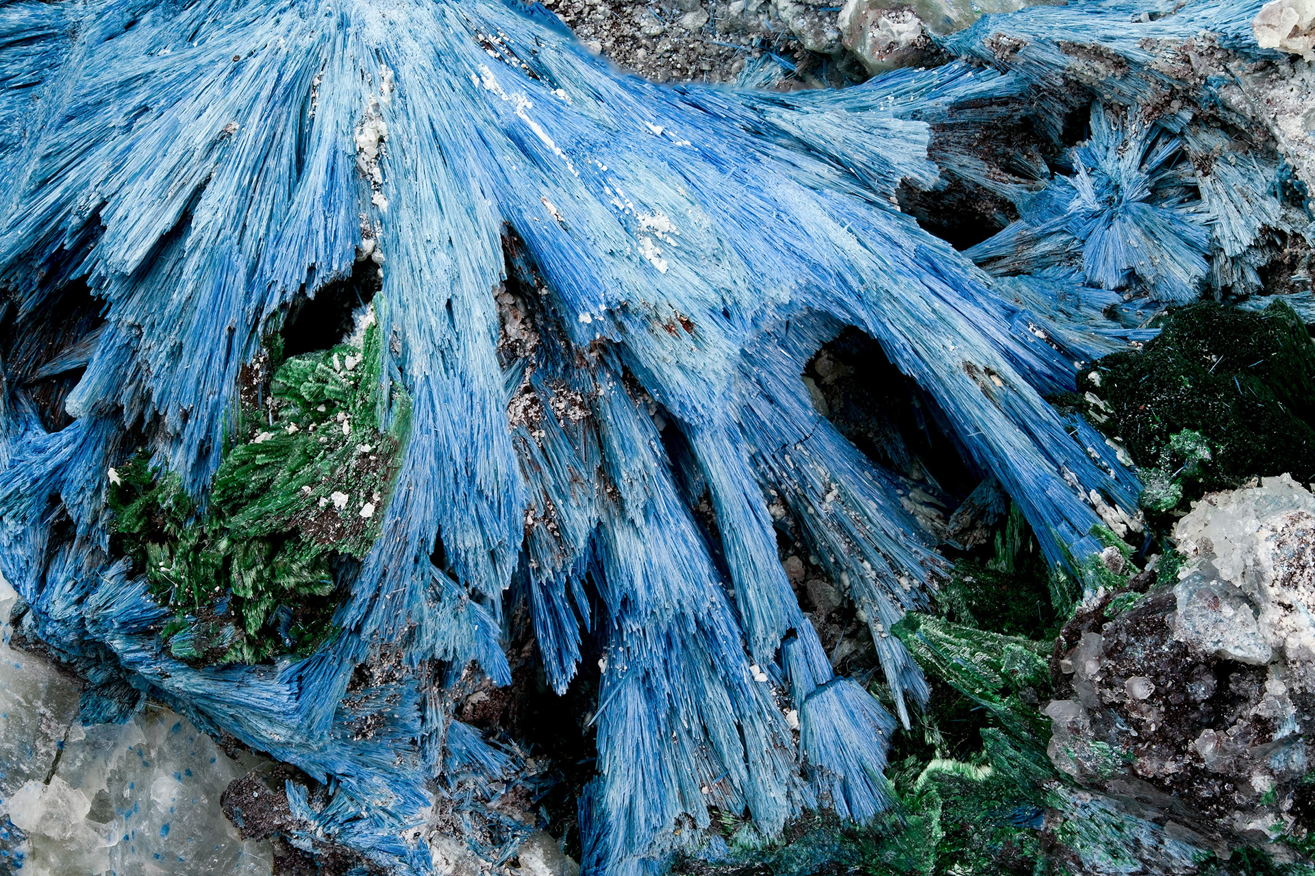 Shattuckite, Malachite - Kaokoveld, Namibia