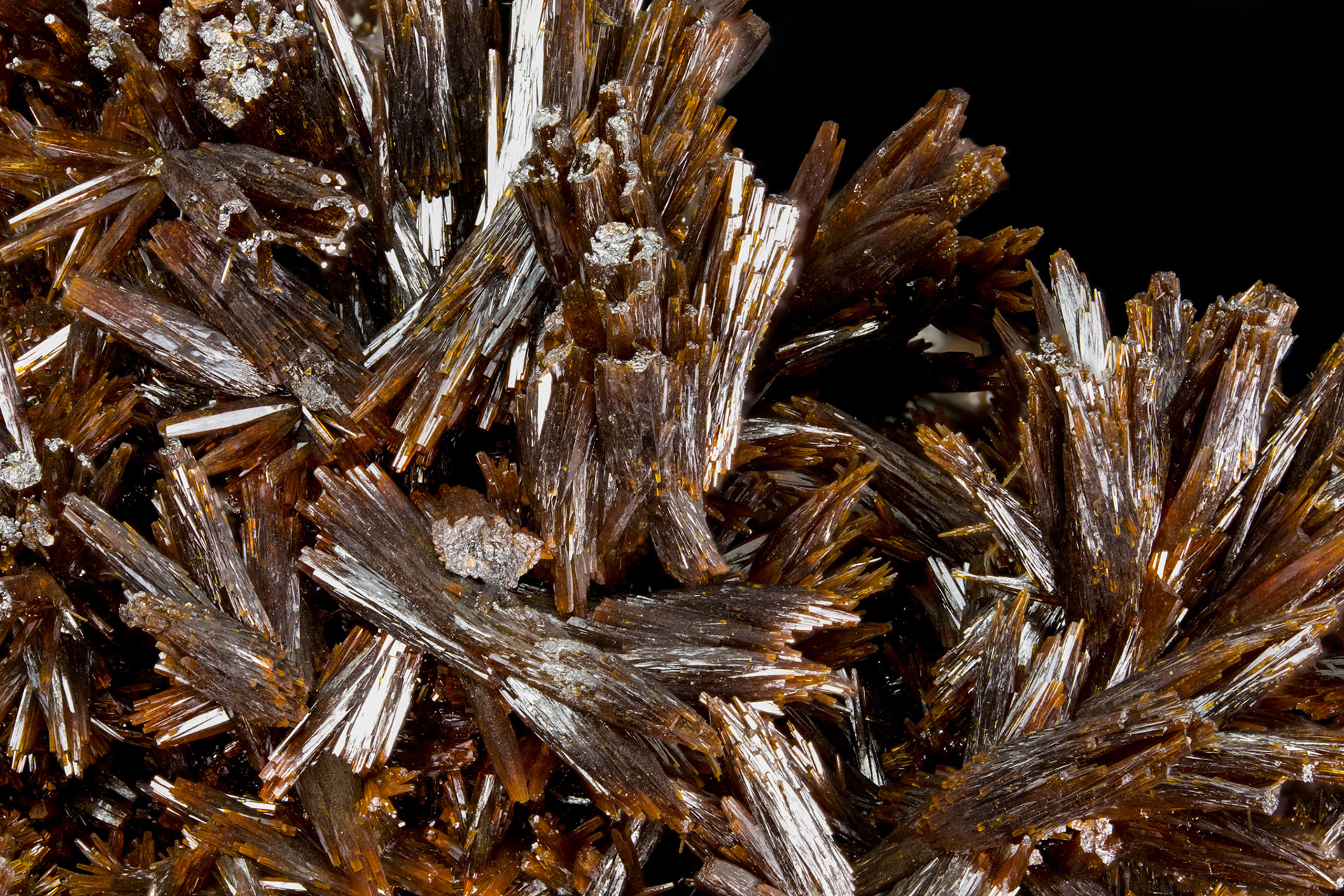 Vanadinite var. Arsenatian - Ahumada Mine, Mexico