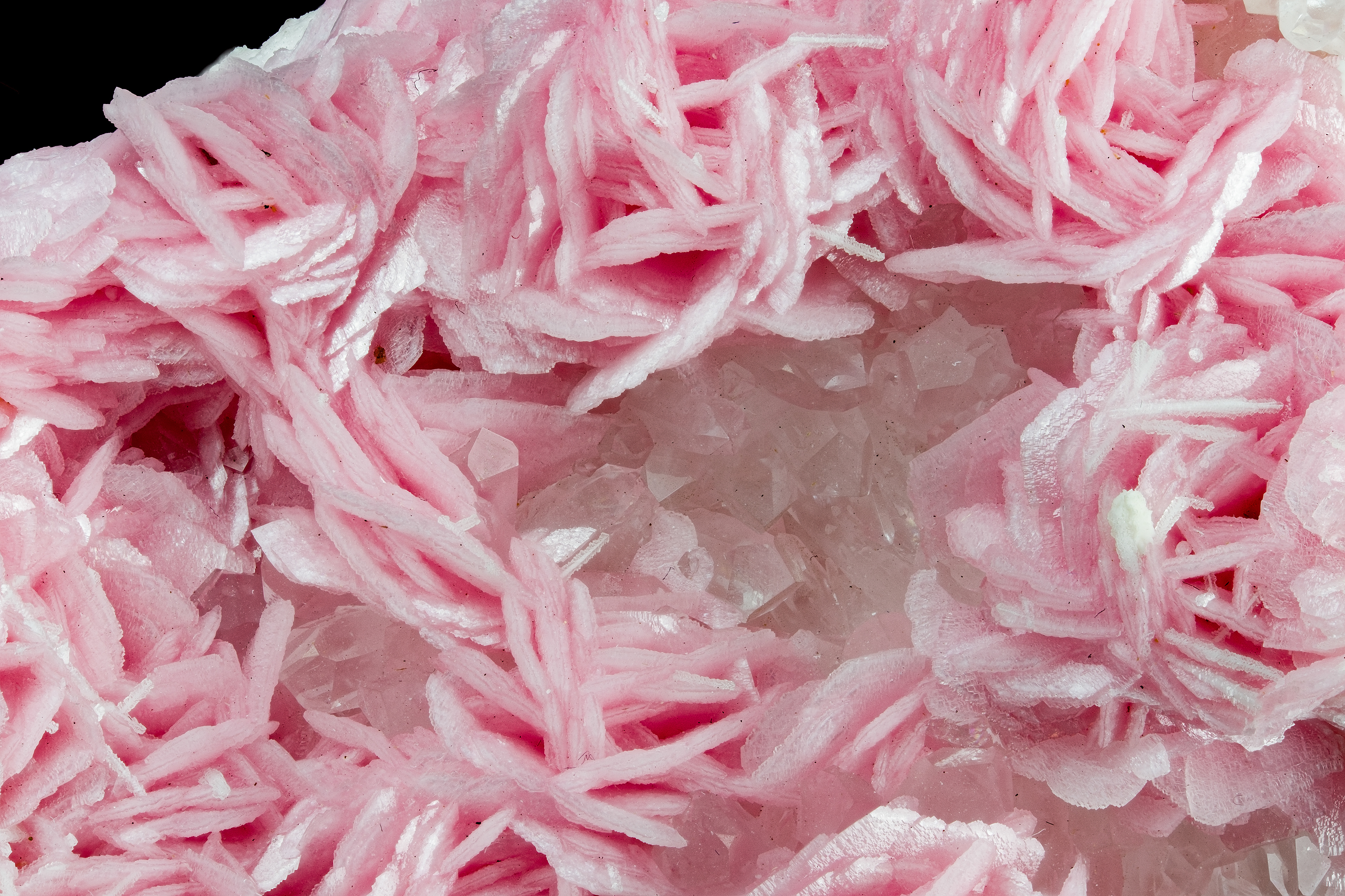 Rhodochrosite - Colorado