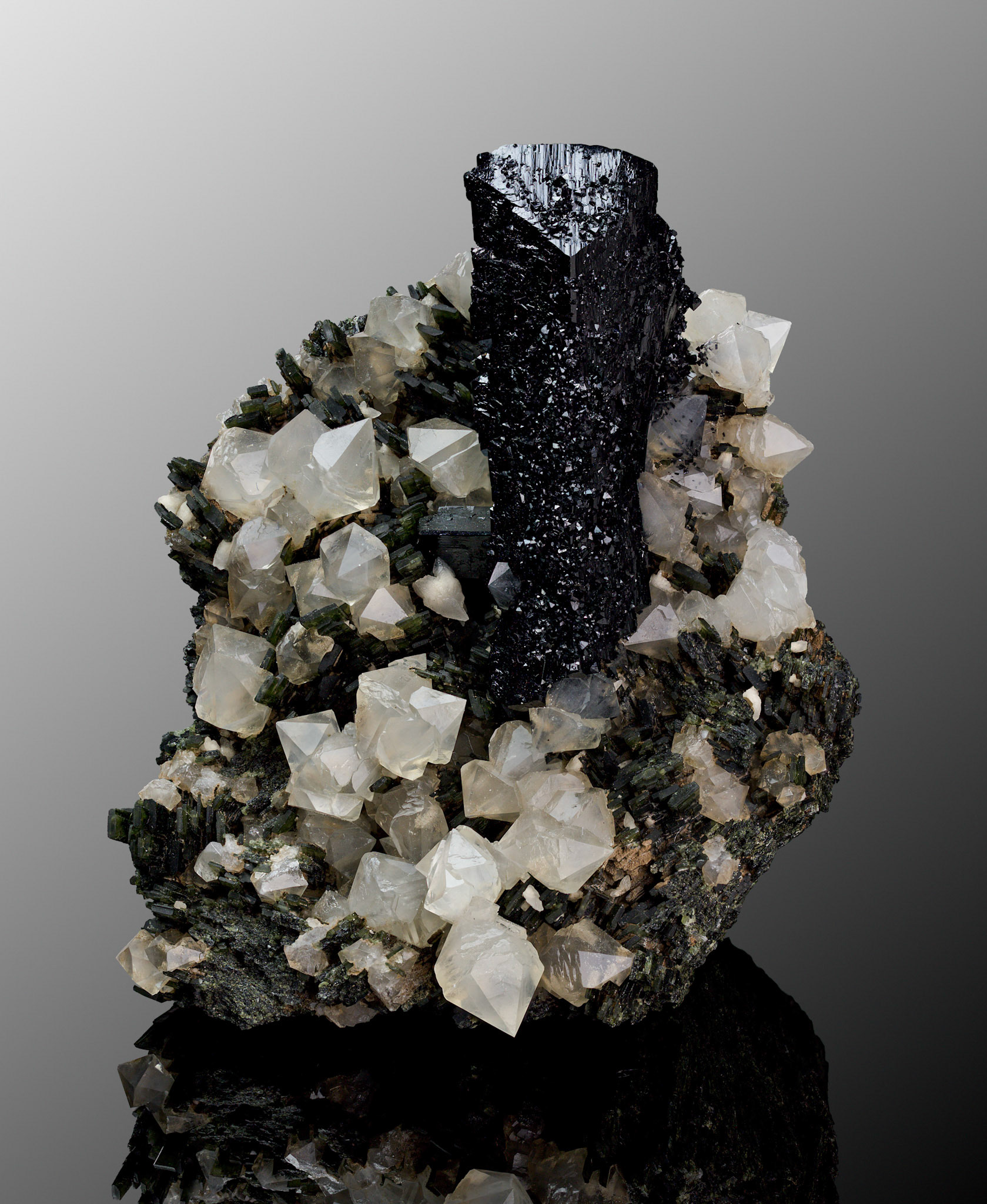 Ilvaite, Quartz: Dalnegorsk, Russia; Forrest Carithers Collection