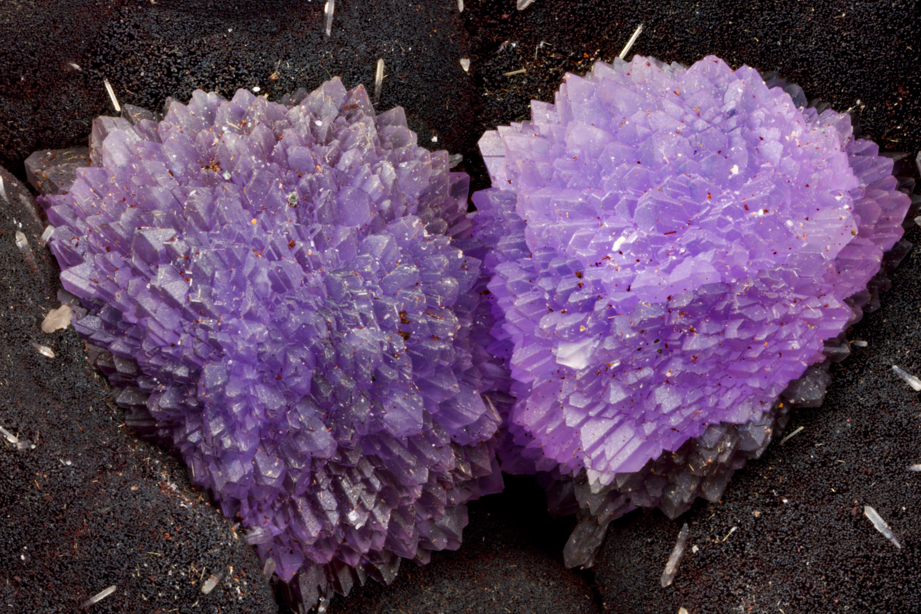 Strengite: Coon Creek, AR; Gawan Fiore Collection