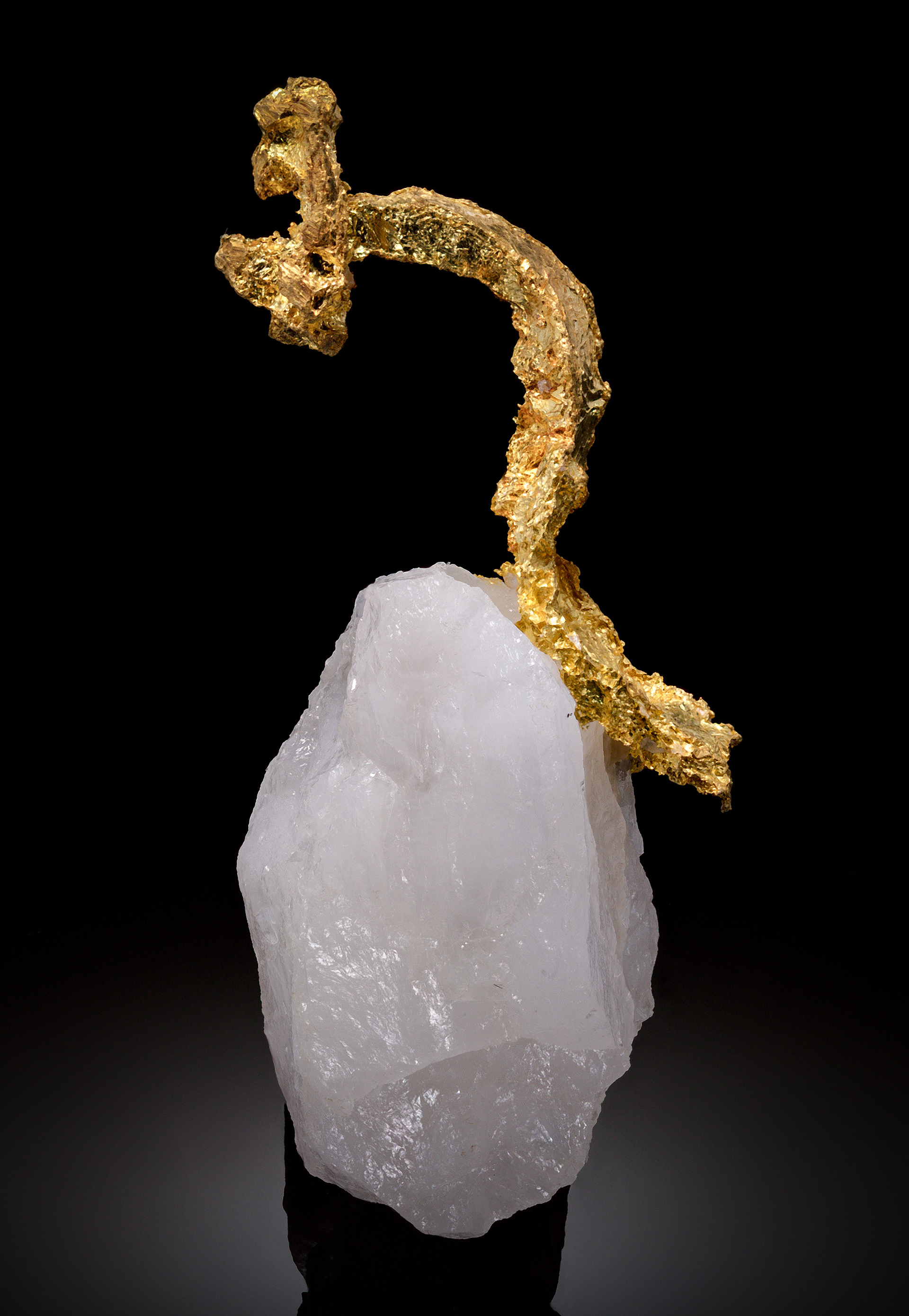 Gold: Canada; Kyle Kevorkian Collection